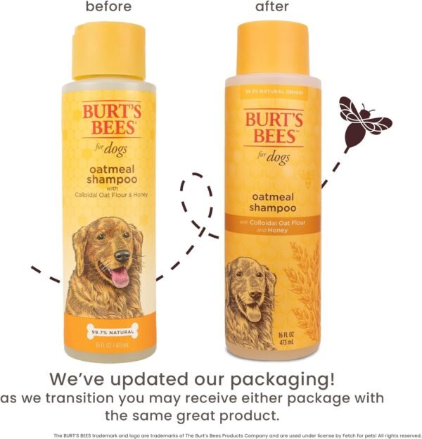 Burt's Bees for Pets Oatmeal Dog Shampoo - Soothing Shampoo for Dogs - Gentle Dog Shampoo for Sensitive Skin - Moisturizing Pet Care with Colloidal Oat Flour & Honey - Fragrance Free, 16 Oz - Image 5