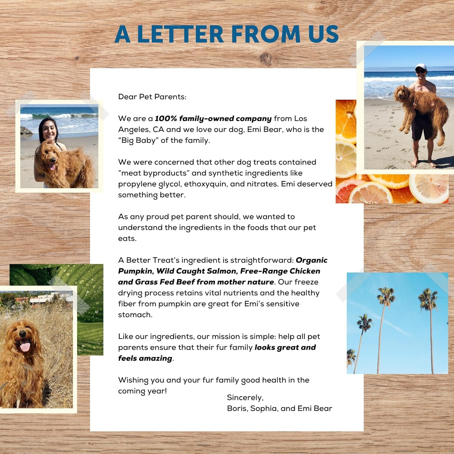 A Better Treat – Freeze Dried Organic Pumpkin, Wild Caught Salmon, Grass Fed Beef, Free-Range Chicken Dog and Cat Treats | Natural, Healthy, Diabetic Friendly | Made in The USA - Image 7