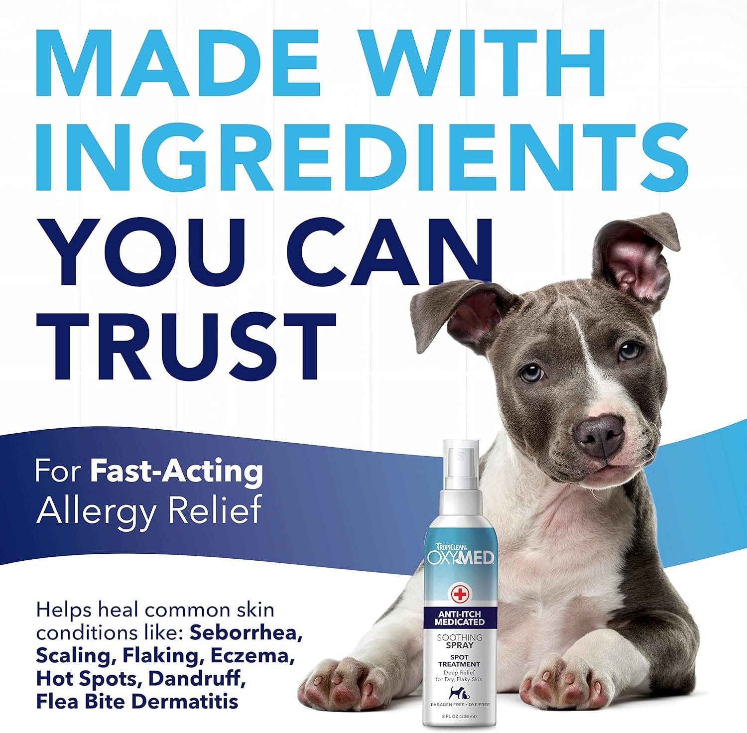 TropiClean Oxymed Medicated Cat & Dog Itch Relief Spray | Gentle Skin Soother for Dogs & Cats | 8 oz - Image 4
