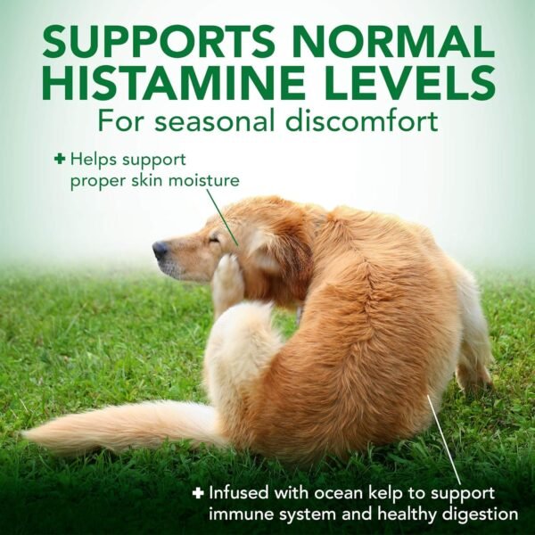 Vet's Best Seasonal Allergy Soft Chew Dog Supplements | Soothes Dogs Skin Irritation Due to Seasonal Allergies | 30 Day Supply - Image 3