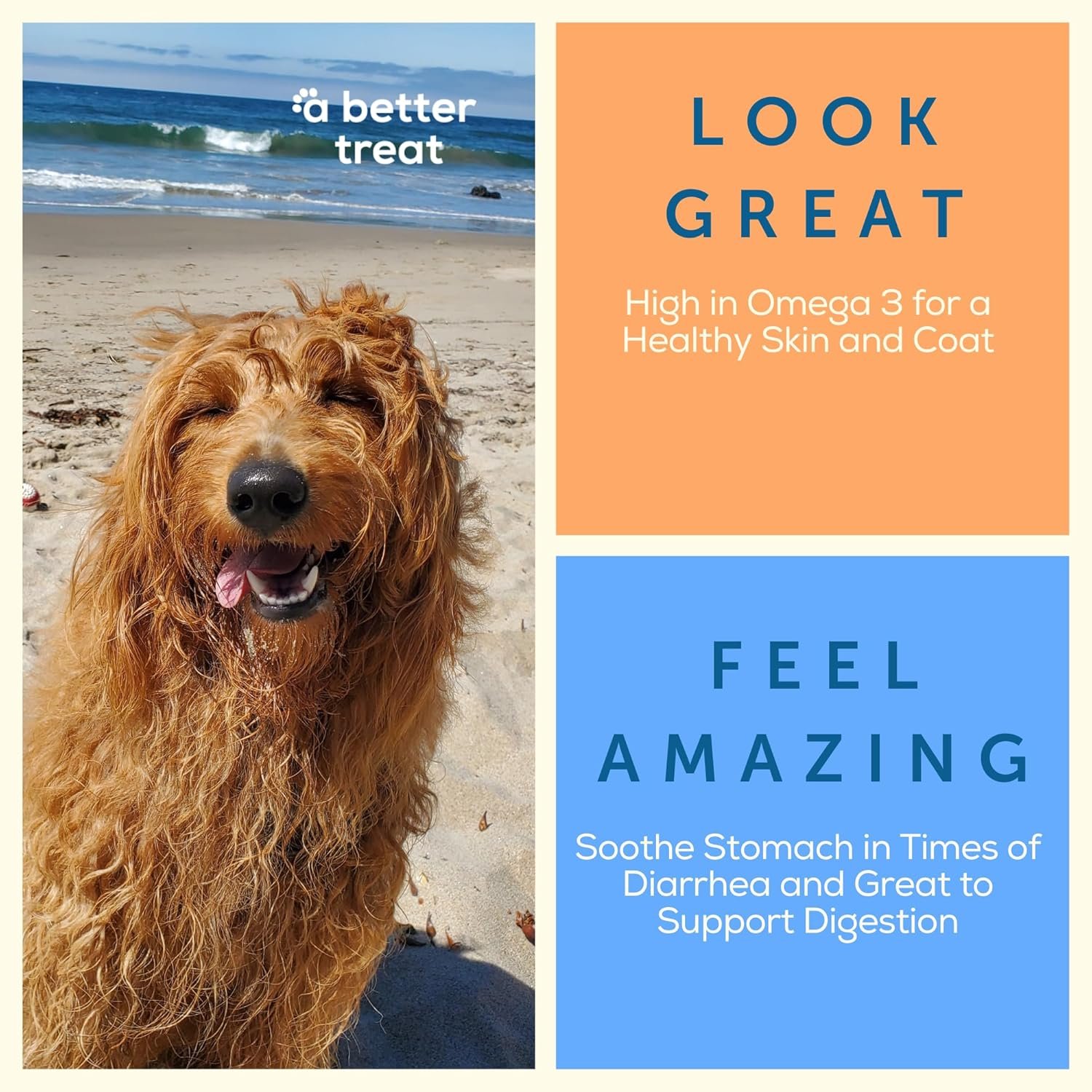 A Better Treat – Freeze Dried Organic Pumpkin, Wild Caught Salmon, Grass Fed Beef, Free-Range Chicken Dog and Cat Treats | Natural, Healthy, Diabetic Friendly | Made in The USA - Image 4
