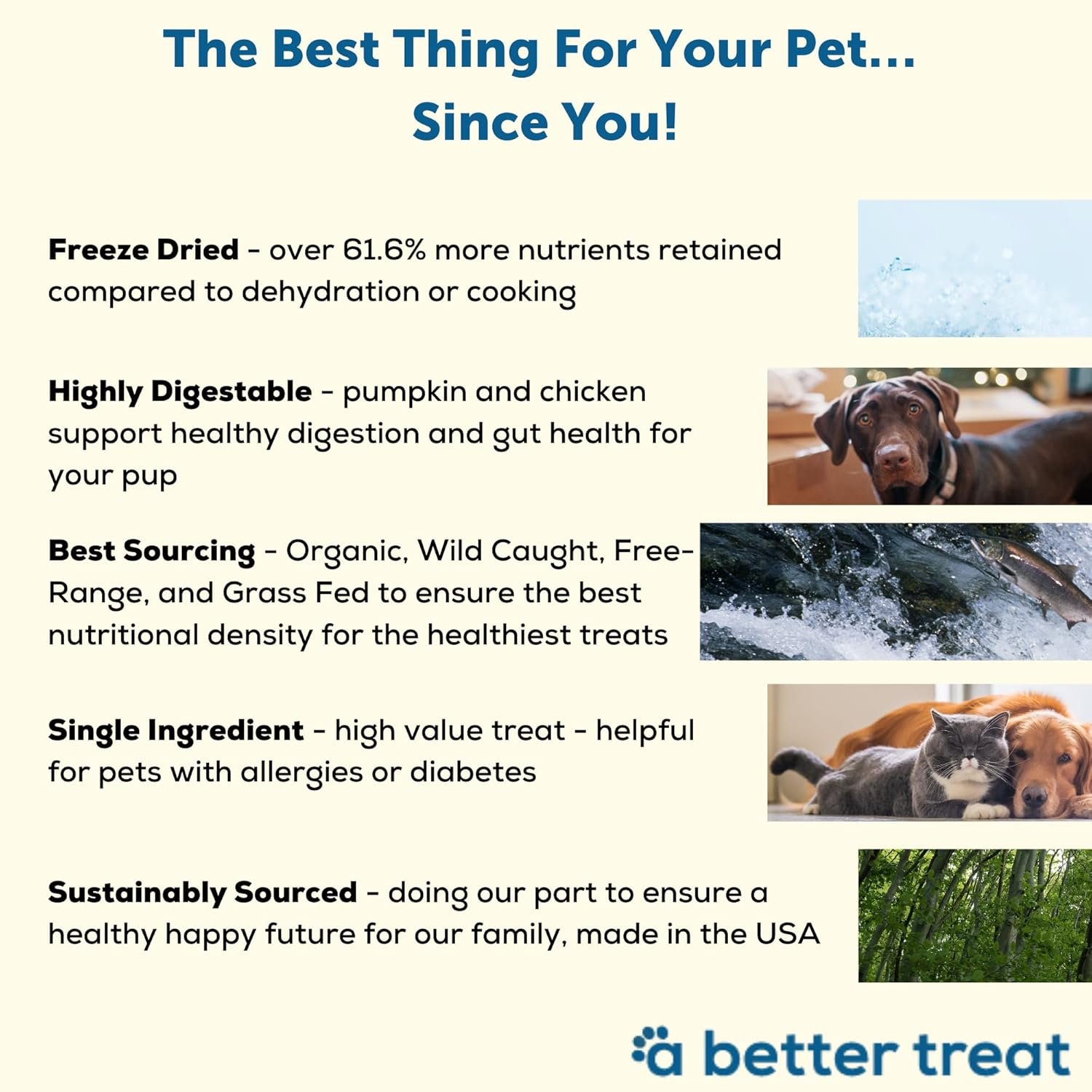 A Better Treat – Freeze Dried Organic Pumpkin, Wild Caught Salmon, Grass Fed Beef, Free-Range Chicken Dog and Cat Treats | Natural, Healthy, Diabetic Friendly | Made in The USA - Image 5