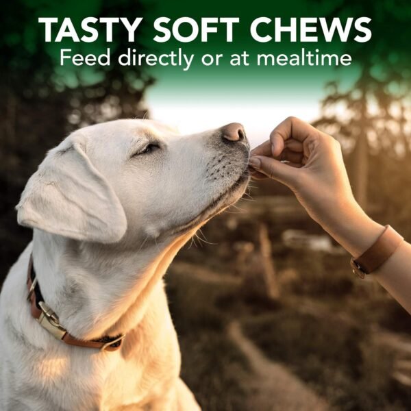 Vet's Best Seasonal Allergy Soft Chew Dog Supplements | Soothes Dogs Skin Irritation Due to Seasonal Allergies | 30 Day Supply - Image 5