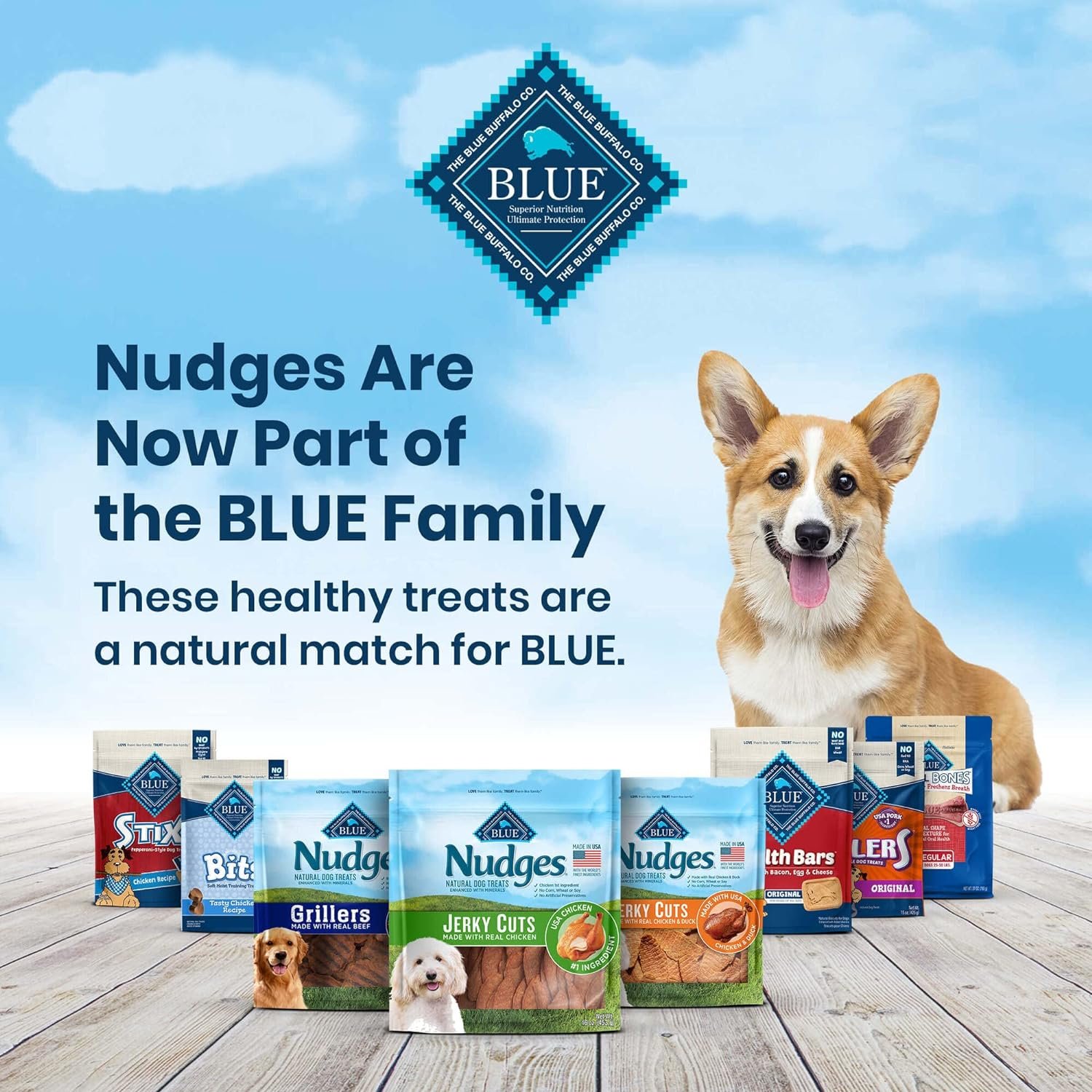 Blue Buffalo Nudges Homestyle Natural Dog Treats, Chicken, 10oz Bag - Image 4
