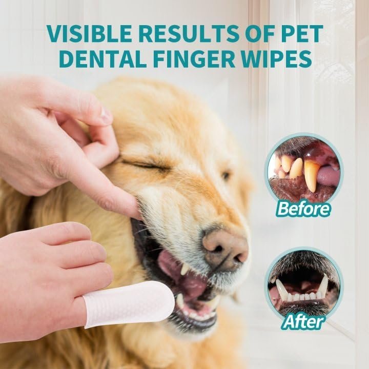 PITHER Dog Teeth Cleaning Wipes, Pet Dental Finger Wipes for Dogs & Cats Disposable Gentle Dog Teeth Cleaning Pads Tooth Brushing Kit Freshen Bad Breath Remove Plaque & Tartar Buildup 50 Counts - Image 4