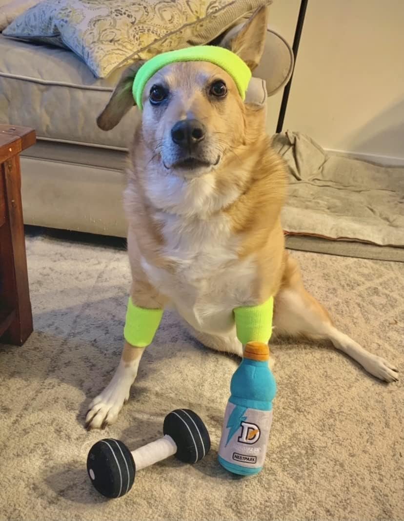 Nestpark Fitness Funny Dog Toys - Doggyade and Doggy Dumbbell Workout Parody Cute Dog Toys - 2 Pack (Workout Pack) - Image 6