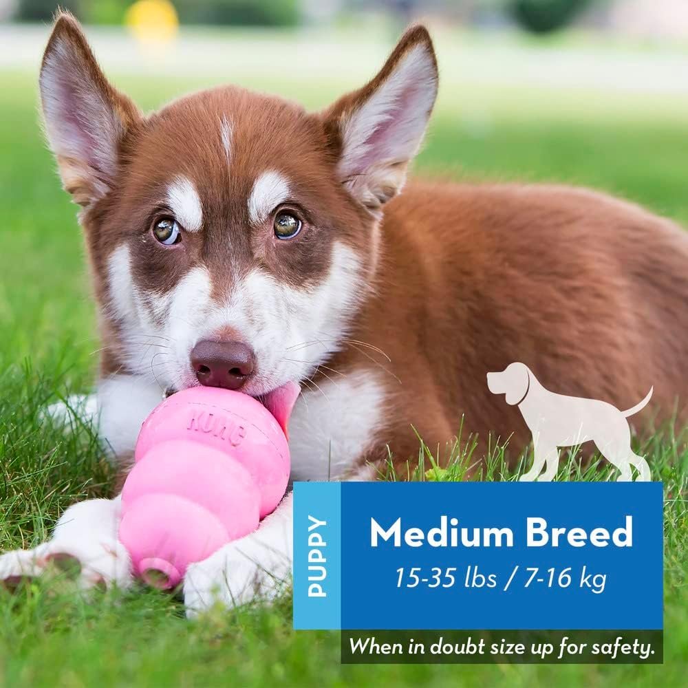 KONG Puppy - Natural Teething Rubber Chew Toy for Dogs - Stuffable Dog Toy for Extended Playtime - Chew & Fetch Toy for Puppies - for Medium Puppies - Pink - Image 3