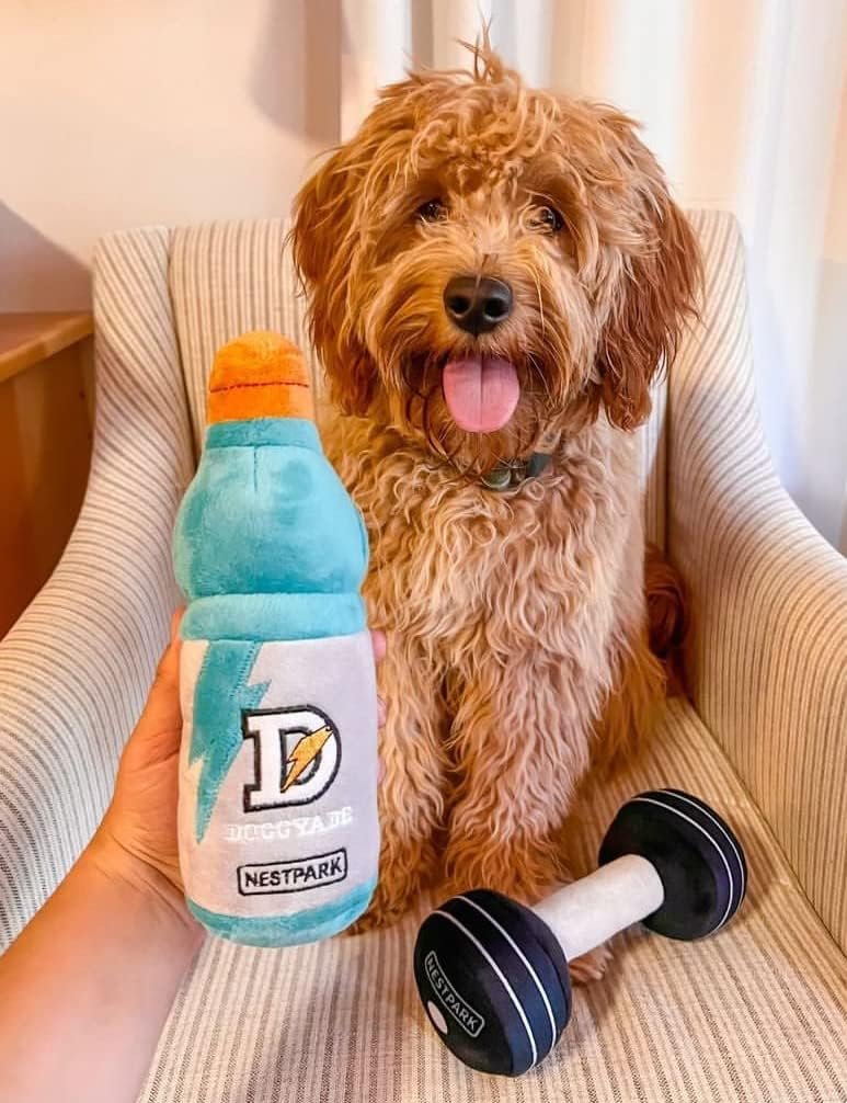 Nestpark Fitness Funny Dog Toys - Doggyade and Doggy Dumbbell Workout Parody Cute Dog Toys - 2 Pack (Workout Pack) - Image 3