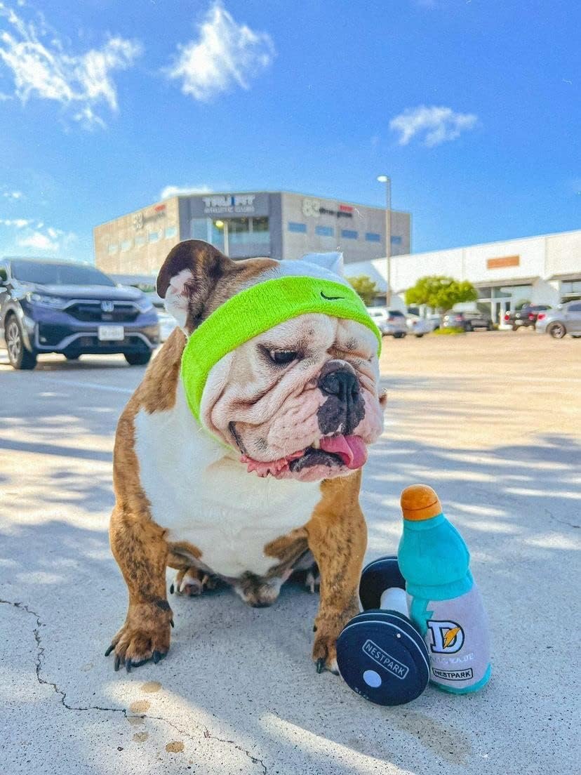 Nestpark Fitness Funny Dog Toys - Doggyade and Doggy Dumbbell Workout Parody Cute Dog Toys - 2 Pack (Workout Pack) - Image 4