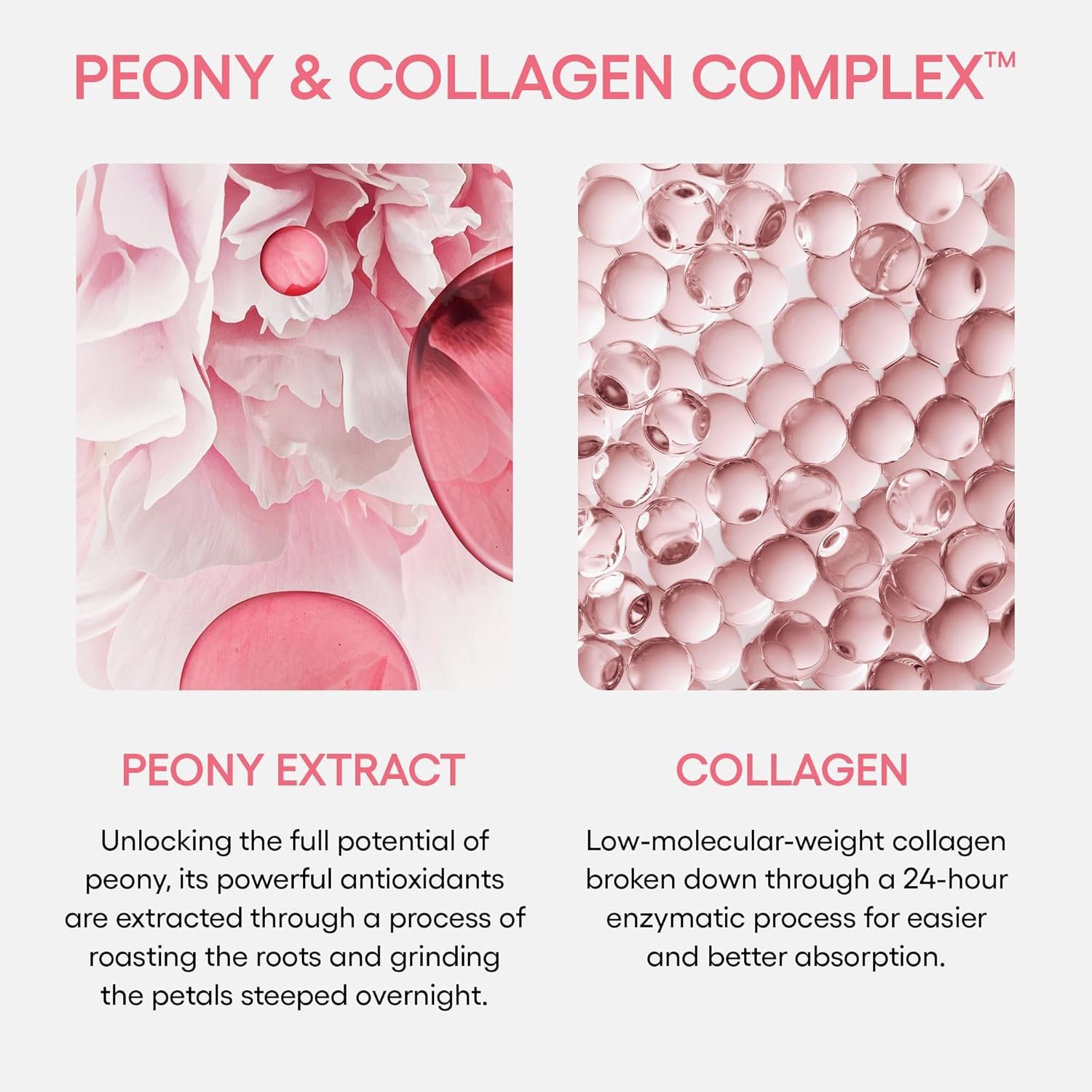 LANEIGE Bouncy and Firm Sleeping Mask: Revitalize, Smooth, Peony & Collagen Complex, Barrier-Boosting Hydration - Image 6