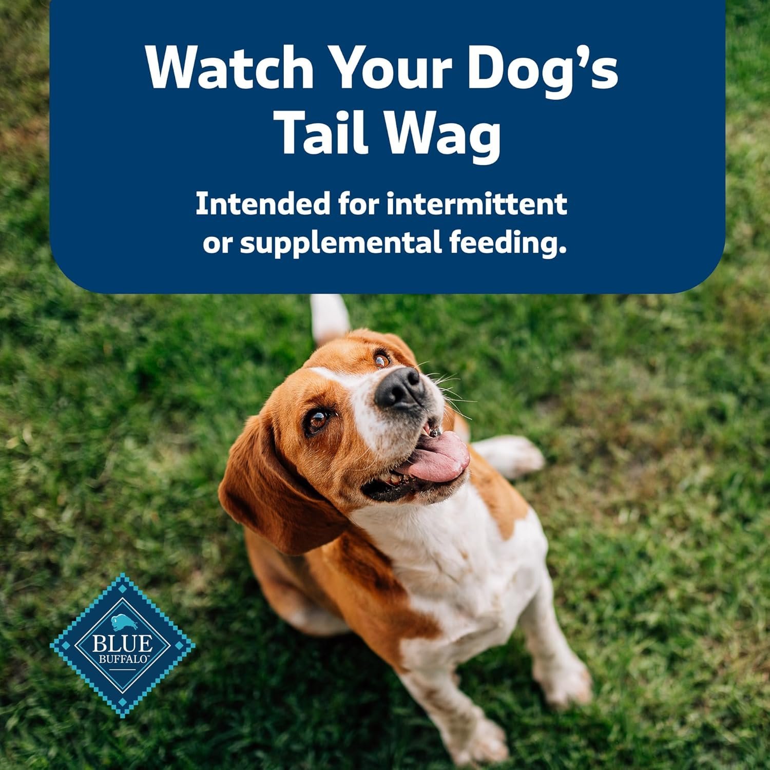 Blue Buffalo Health Bars Natural Crunchy Dog Treats Biscuits, Apple & Yogurt 16-oz Bag - Image 10