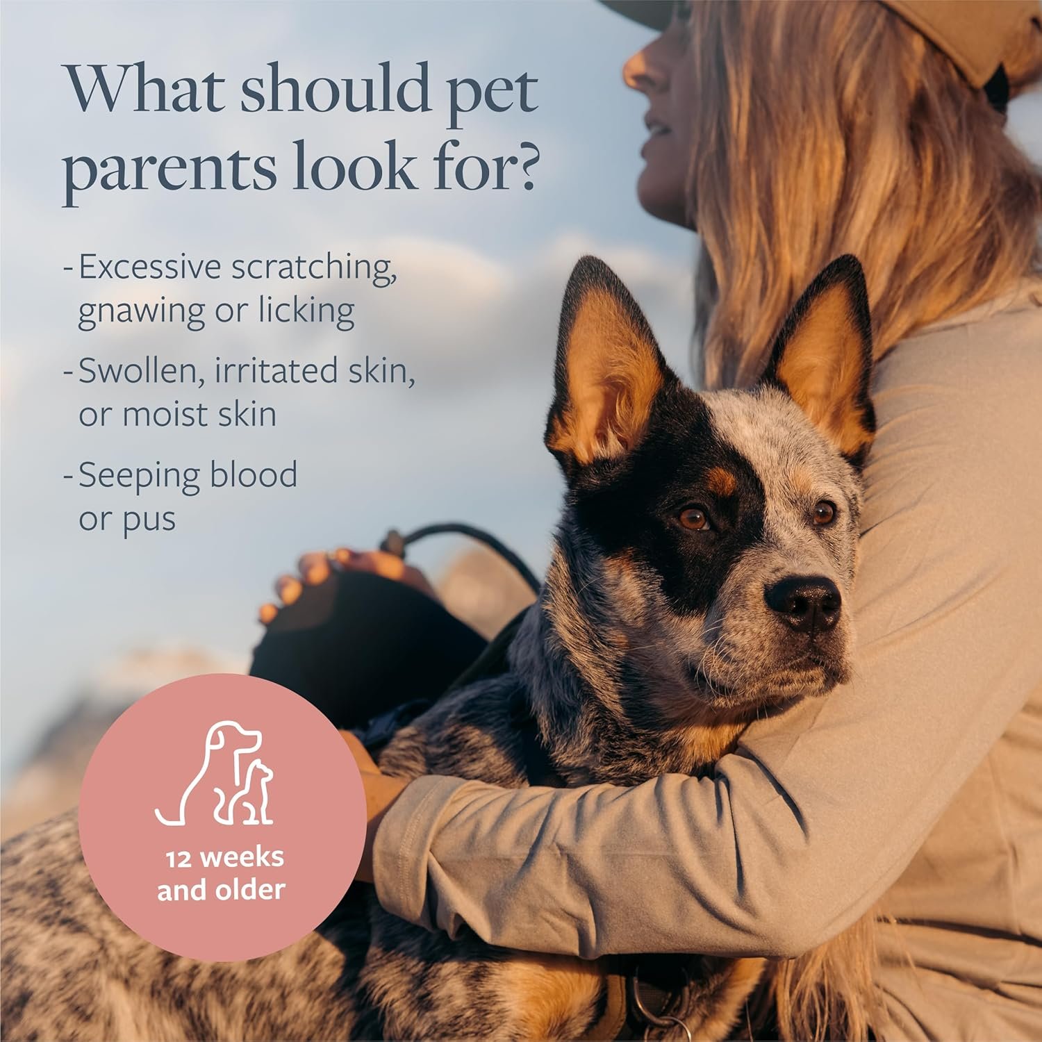 Veterinary Formula Clinical Care Hot Spot & Itch Relief Medicated Spray, 8oz – Easy to Use Spray for Dogs & Cats – Helps Alleviate Sensitive Skin, Scratching, and Licking of Coat - Image 6