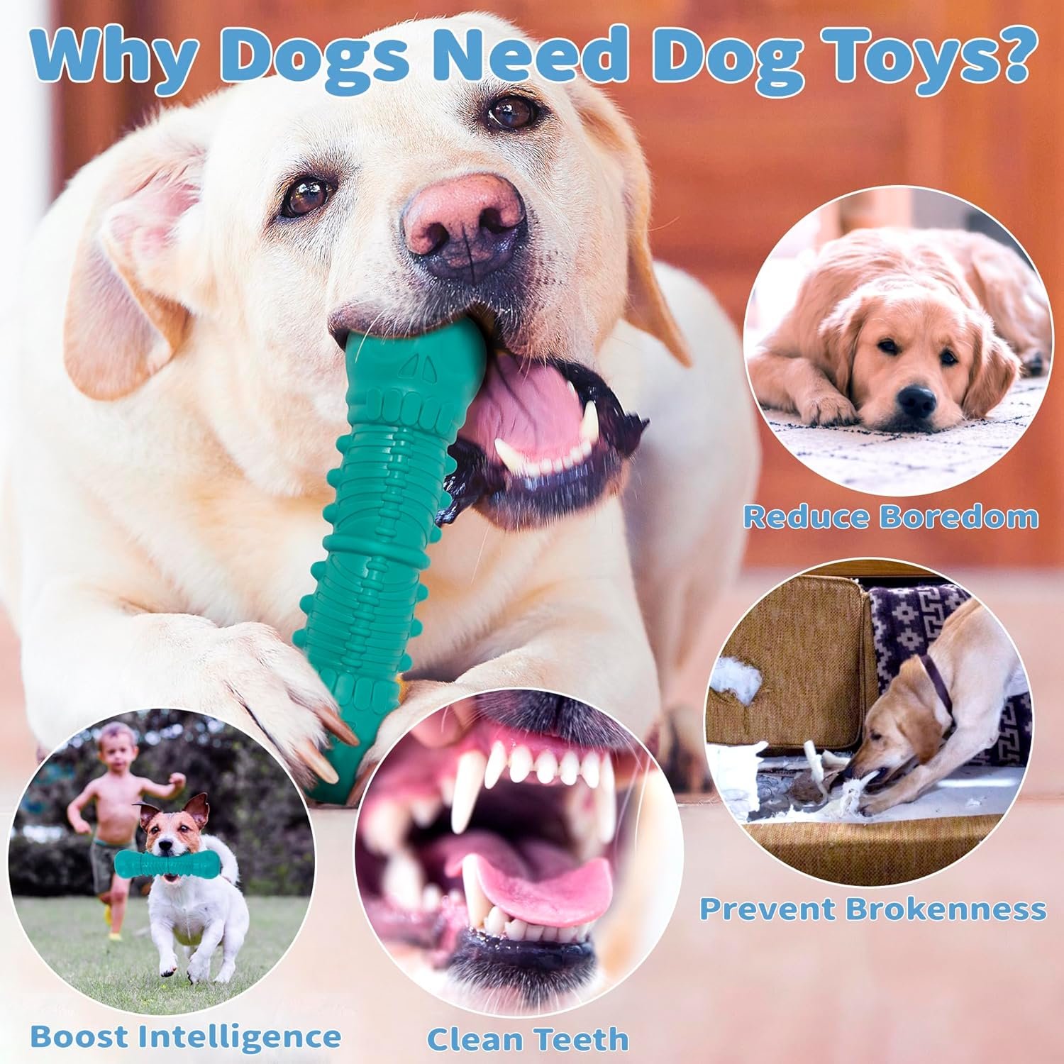 Durable Squeaky Dog Toys for Aggressive Chewers – Tough Rubber Teething Toy for Puppy, Indestructible Super Chew Toy for Medium & Large Breeds, Great Dog Gift (Green) - Image 5