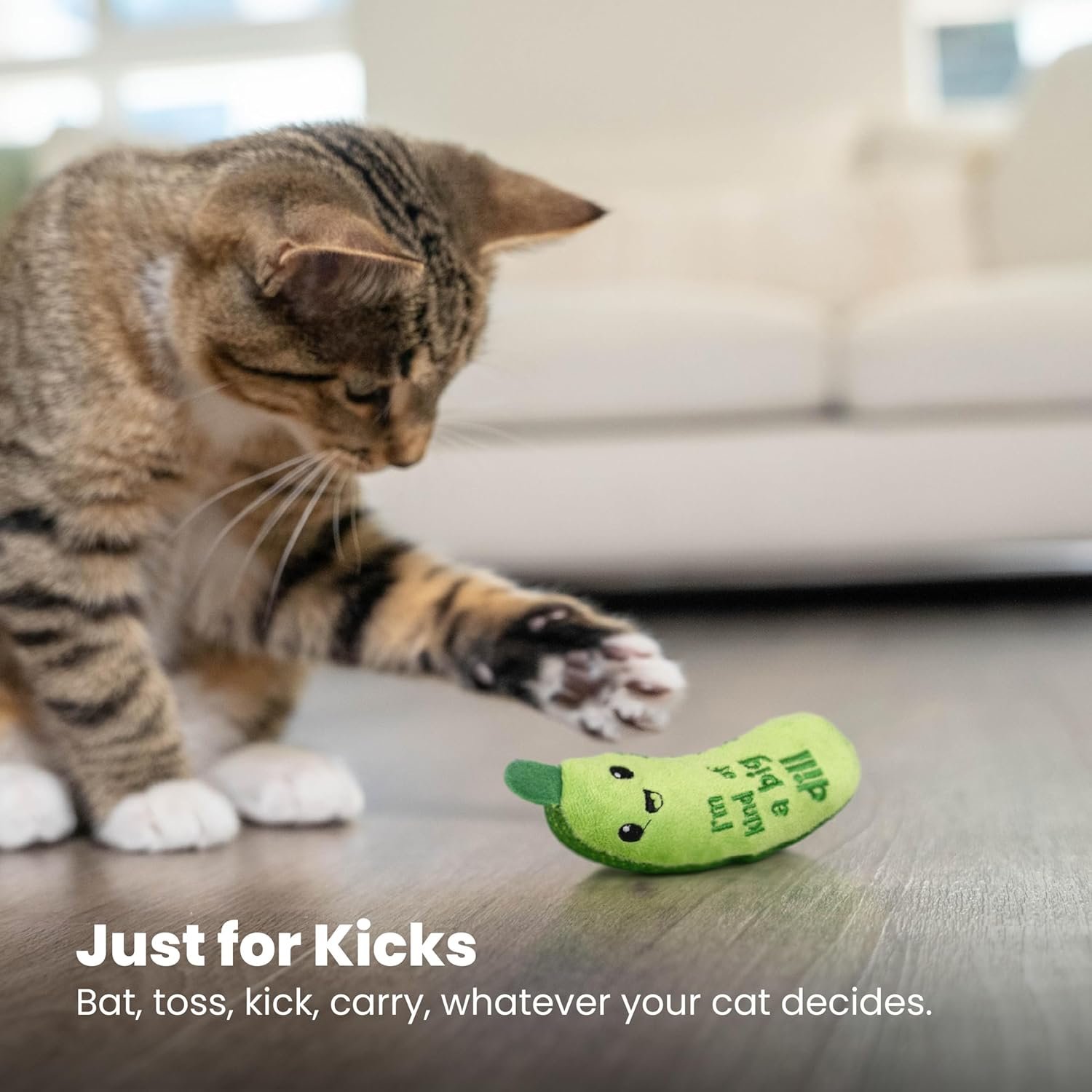 Catstages Crunchy Pickle Kicker Dental Catnip Cat Toy - Image 7