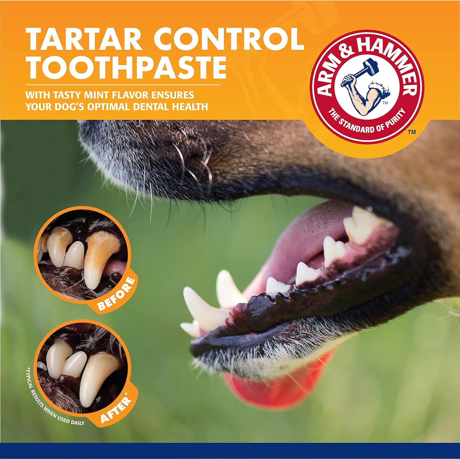 Arm & Hammer for Pets Dog Dental Care Fresh Breath Kit | Includes Arm & Hammer Baking Soda Dog Toothpaste and Dog Toothbrush | Dog Plaque Removal Kit, Mint - Image 6