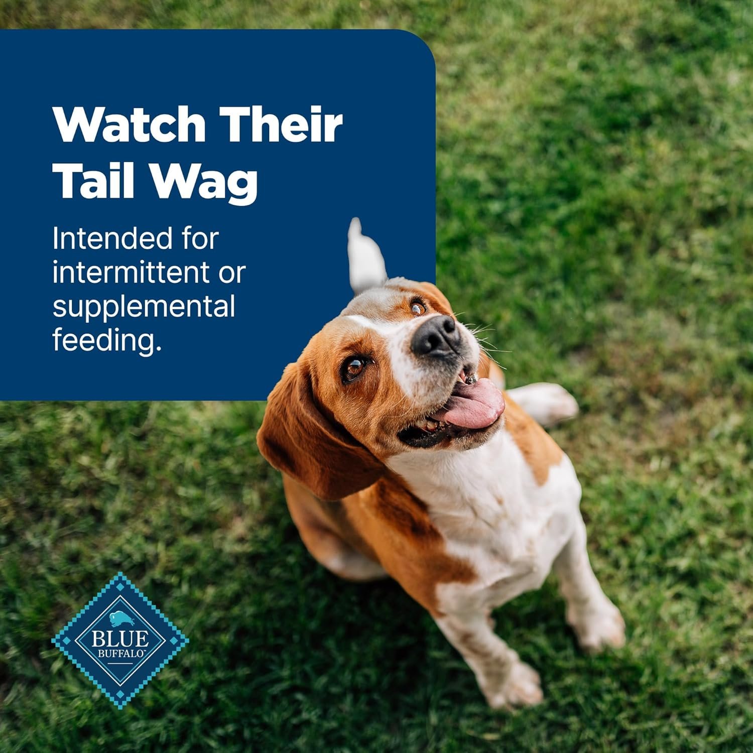 Blue Buffalo Nudges Jerky Bites Dog Treats, Made in the USA with Natural Ingredients, Bite-Sized Pieces, Chicken, 5-oz. Bag - Image 8