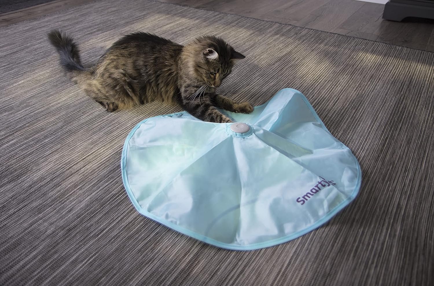 SmartyKat Hot Pursuit Electronic Concealed Motion Cat Toy, Battery Powered - Blue, One Size - Image 5