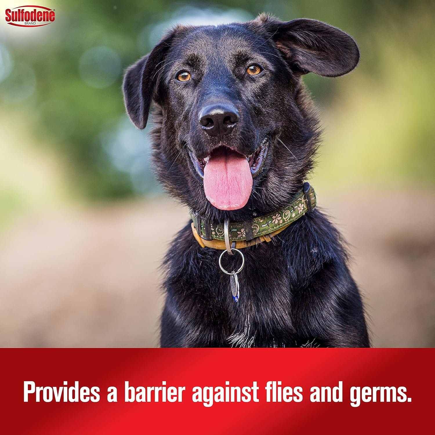 Sulfodene Dog Wound Care Ointment, Relieves Pain & Prevents Infection For Dog Cuts, Scrapes, Bites and Injuries, 2 Ounce - Image 6