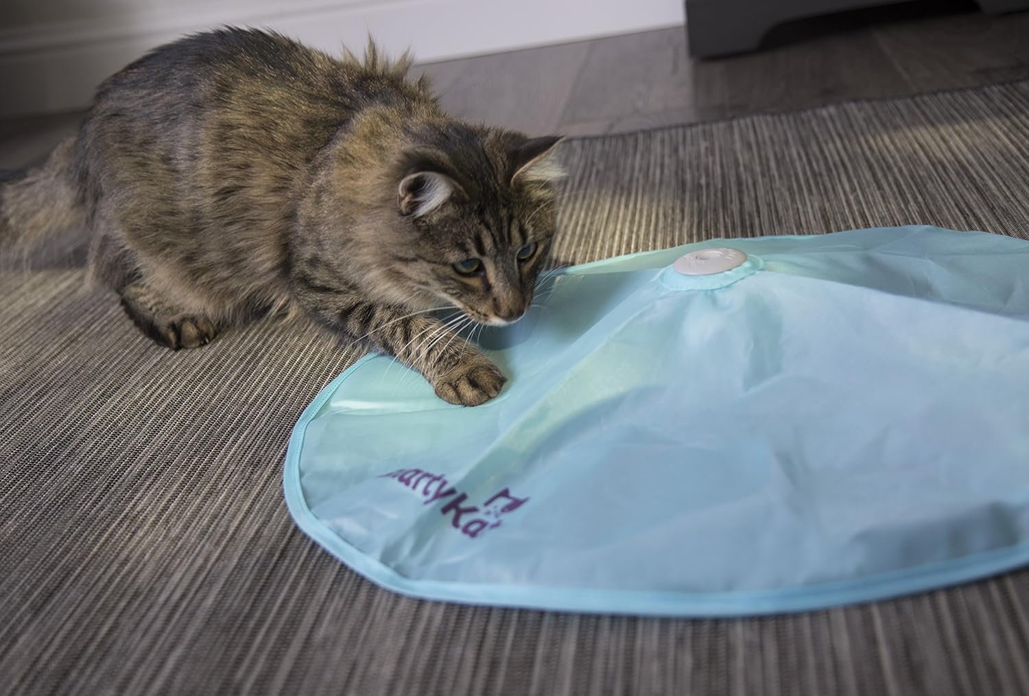 SmartyKat Hot Pursuit Electronic Concealed Motion Cat Toy, Battery Powered - Blue, One Size - Image 7