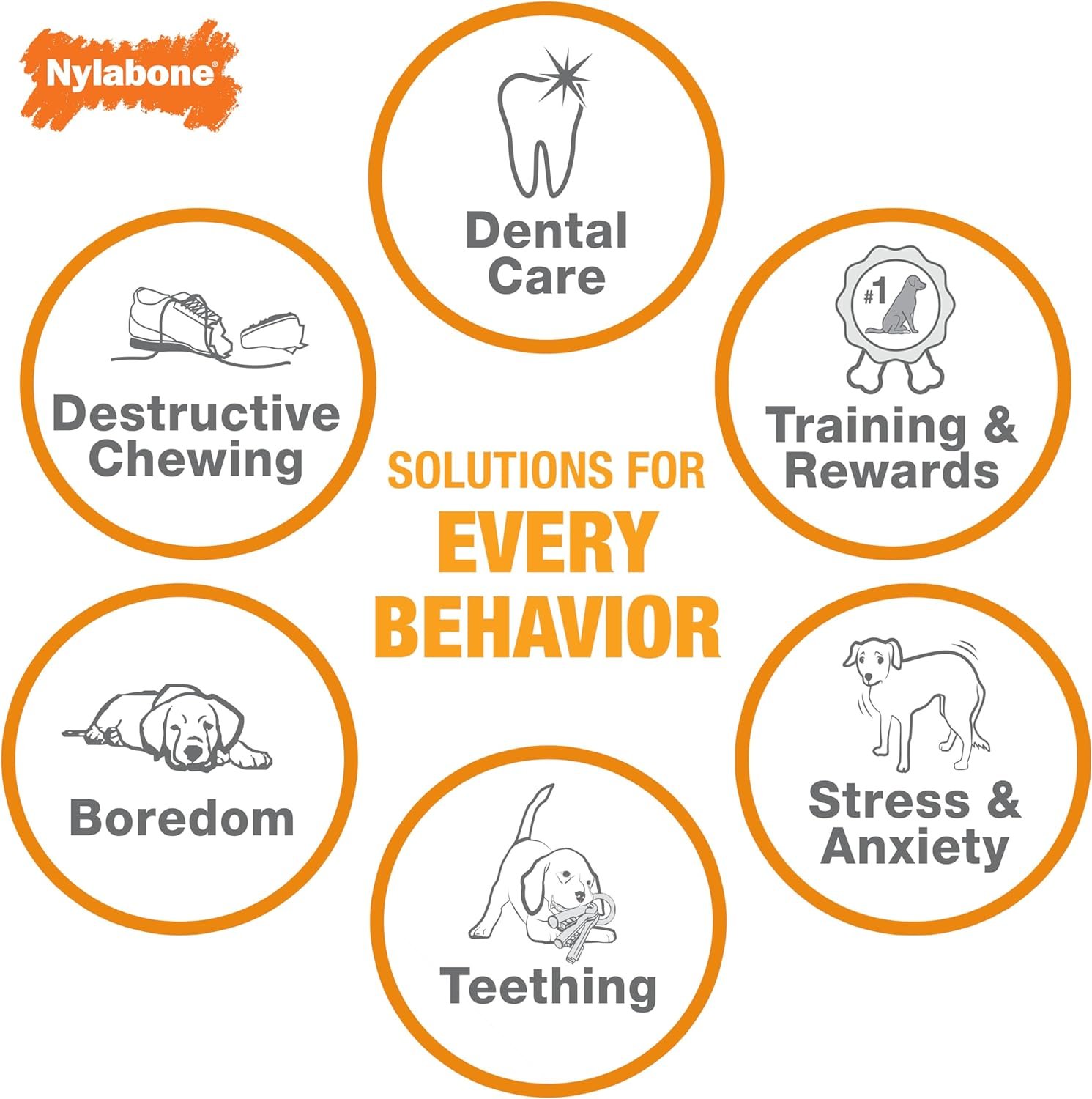 Nylabone Flexi Chew Moderate Dog Dental Chew Toy Bones Triple Pack, Peanut Butter & Bacon, X-Small/Petite (3 Count) - Image 4