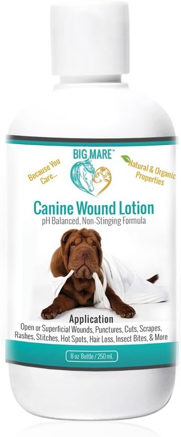 Big Mare Canine Wound Lotion Antibacterial/Antifungal. Clinically Proven Effective for Hot Spots, Open Wounds, Stitches, Yeast, Flea Irritation, Bug Bites & More. Veterinary Approved & Recommended - Image 2