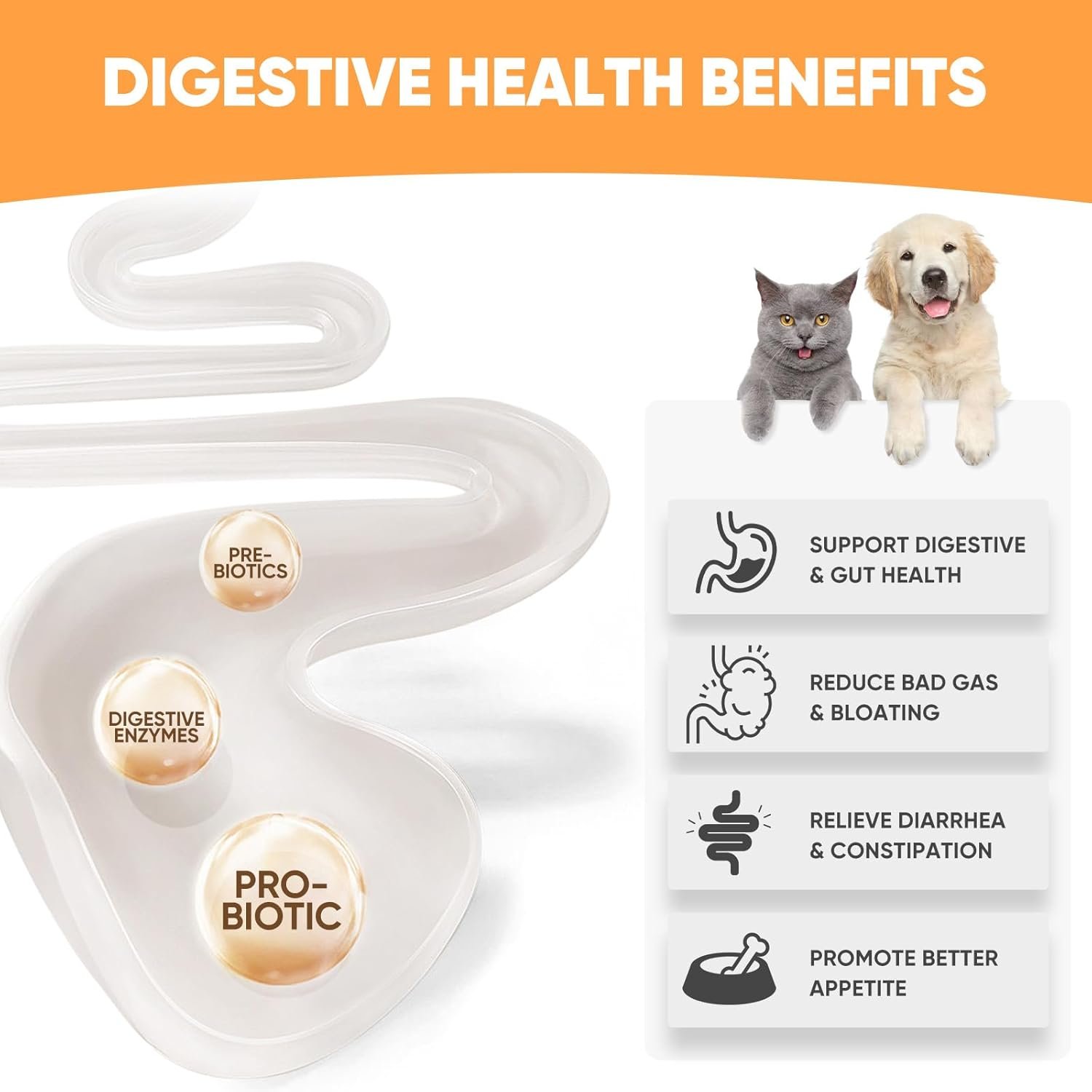 Probiotics for Dogs: Advanced Dog Probiotics & Digestive Enzymes, Digestion & Health Supplement, Support Gut Health, Itchy Skin, Immunity,Yeast Balance, Prebiotics Fiber Supplement Reduce Diarrhea,Gas - Image 5