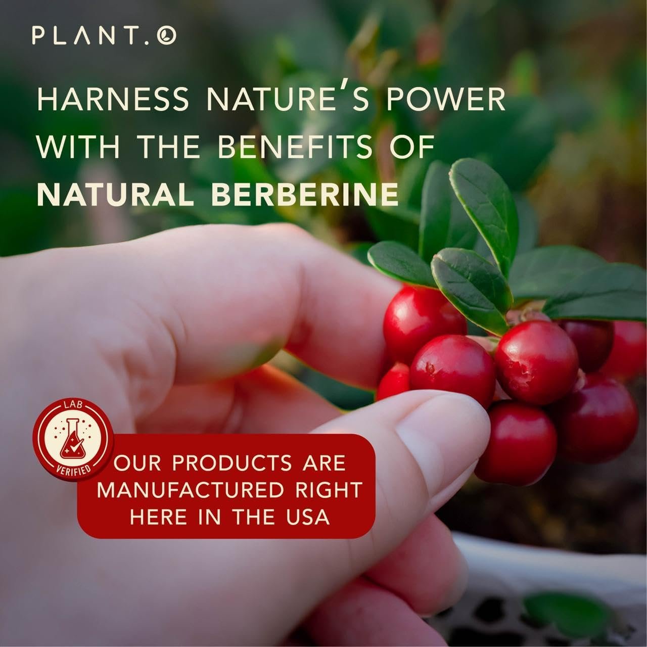 Berberine Supplement - Extra Strength 1250mg Per Serving - Berberine HCI Complex with Bitter Lemon & Banaba Leaf Non-GMO - Immune Support, Antioxidant - 60 Capsules - Image 8