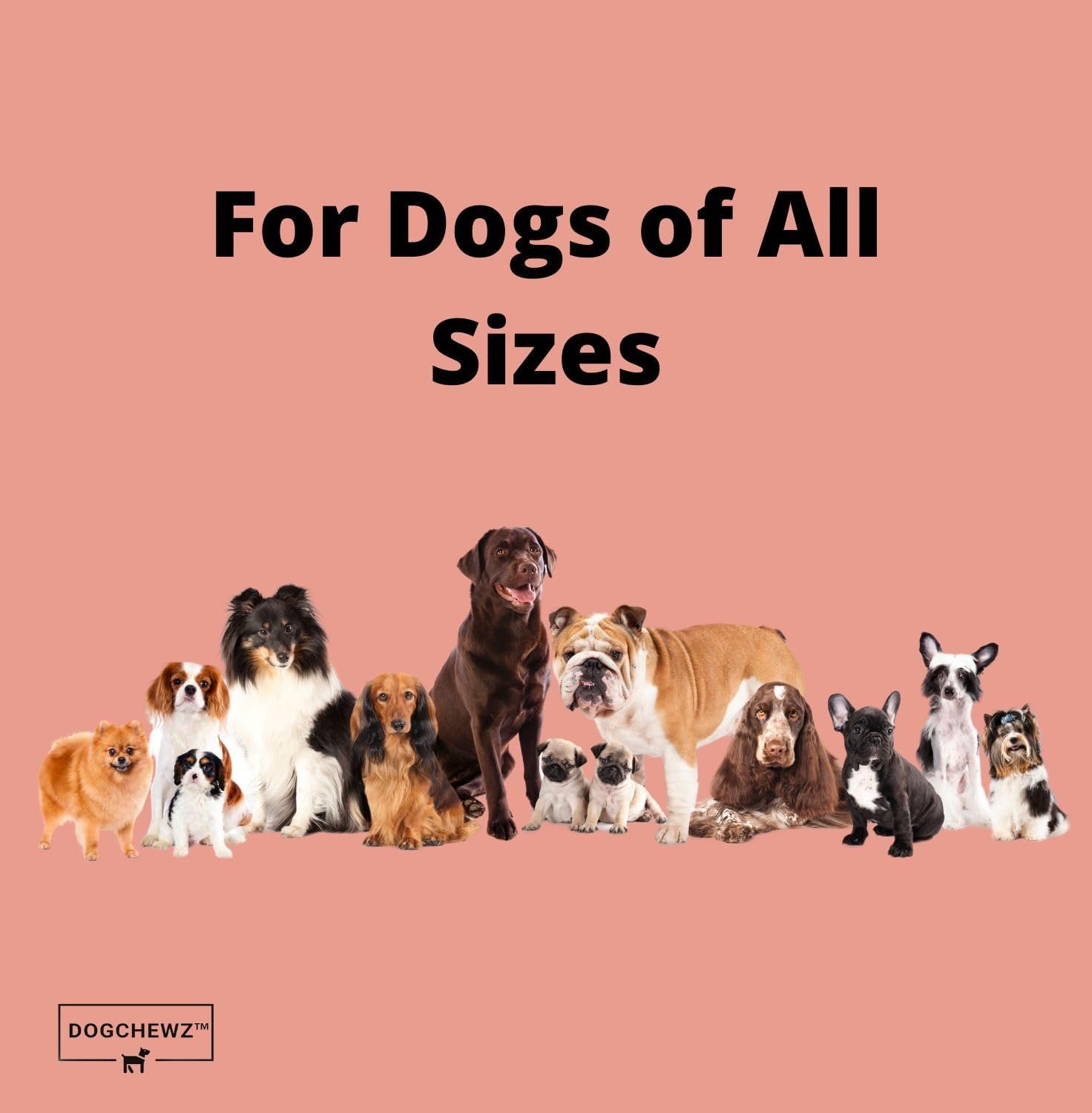 DOGCHEWZ™ Premium Chicken Breast Tender Jerky for Dogs All Natural Human Grade Dog Chew (1 LB Bag) - Single Ingredient - No Artificial Flavors or Preservatives - Whole Dehydrated Chicken - Image 8