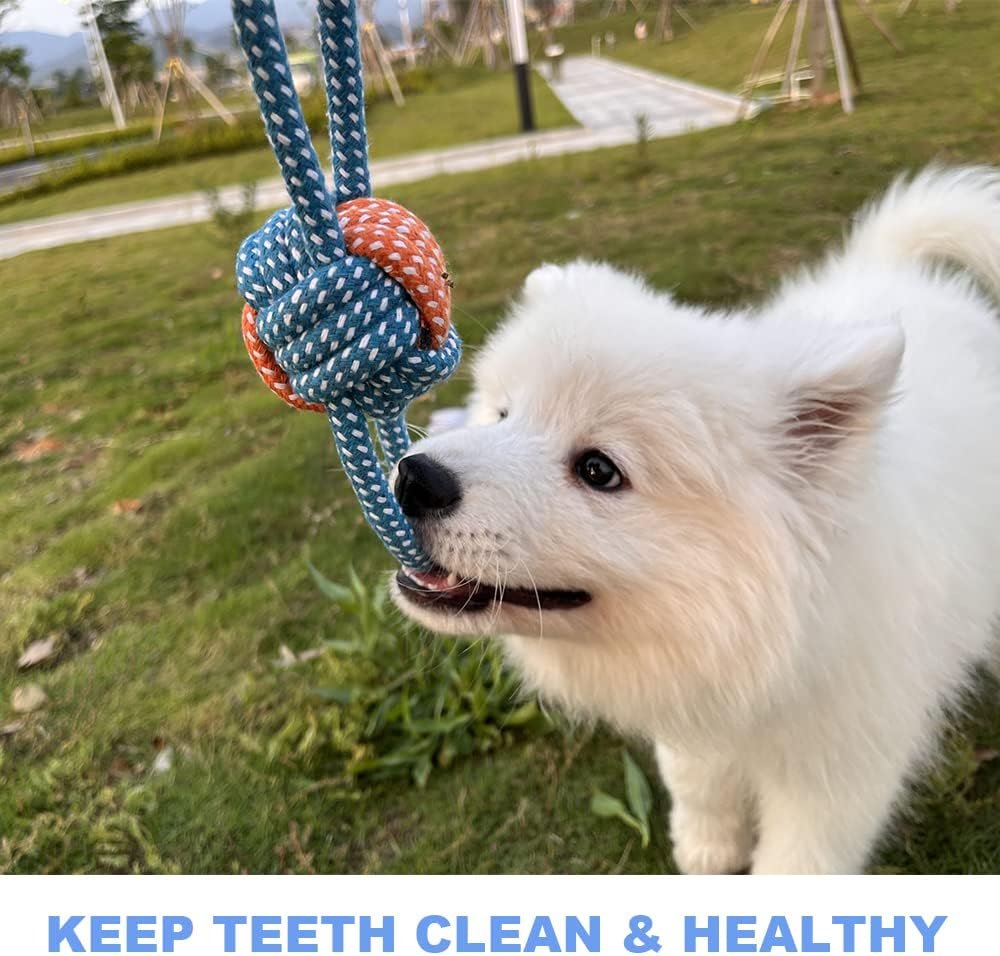 Dog Toys Small Dog Chew Toys Dog Teething Toys Squeaky Toys Chihuahua Pomeranian Corgi and PoodlesToys 6 PCS - Image 5