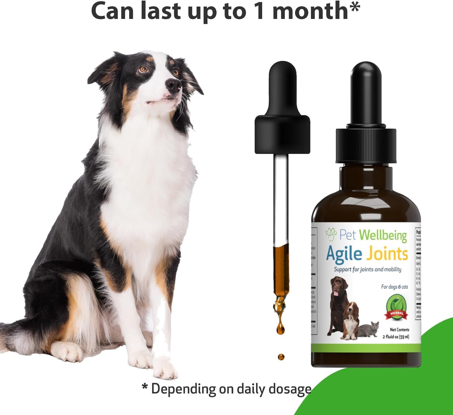 Pet Wellbeing Agile Joints for Dogs - Vet-Formulated - Joint Health, Mobility, Ease of Movement - Natural Herbal Supplement 2 oz (59 ml) - Image 8