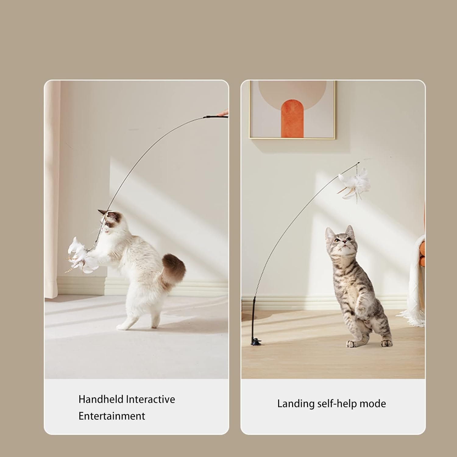 Cat Toy Wand Auto Interactive Toys for Indoor Cat 6 in 1 Hands-Free Natural Bird Feather Ball Toys, Suction Cup Pet Dancing Playing Toy - Image 3