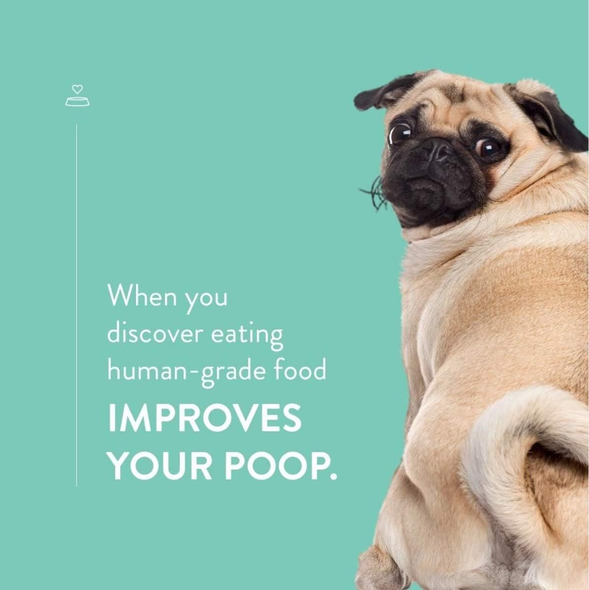 CRAFTED BY HUMANS LOVED BY DOGS Portland Pet Food Company Bacon Brew Biscuit Dog Treats (1 Pack, 5 oz Bag) – All Natural, Human-Grade, USA-Sourced and Made - Image 10