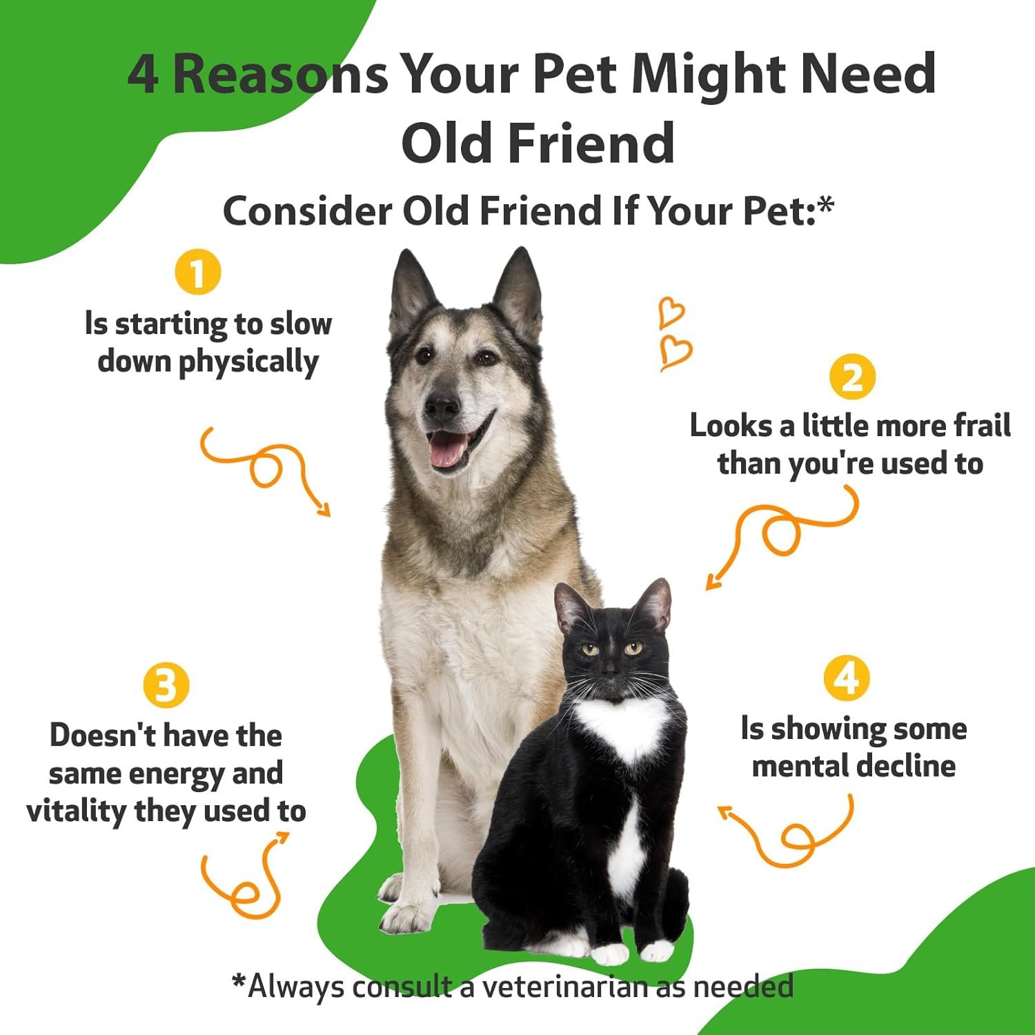 Pet Wellbeing Old Friend for Senior Dogs & Cats - Vet-Formulated - Aging Immune System & Joint Mobility Support in Older Pets - Natural Herbal Supplement 4 oz (118 ml) - Image 3