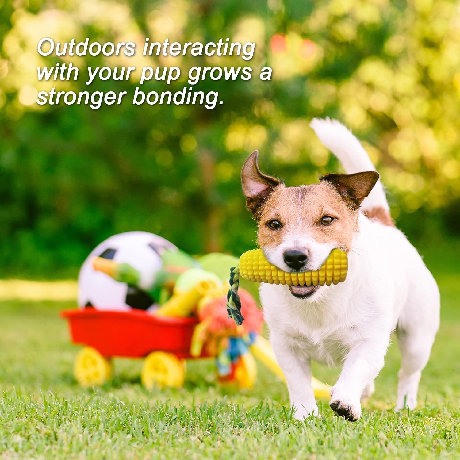 Dog Toys for Aggressive Chewers, Interactive Dog Chew Toys for Small Medium Large Breed, Durable Dog Squeaky Toy with Natural Rubber for Teeth Cleaning and Calming - Image 7