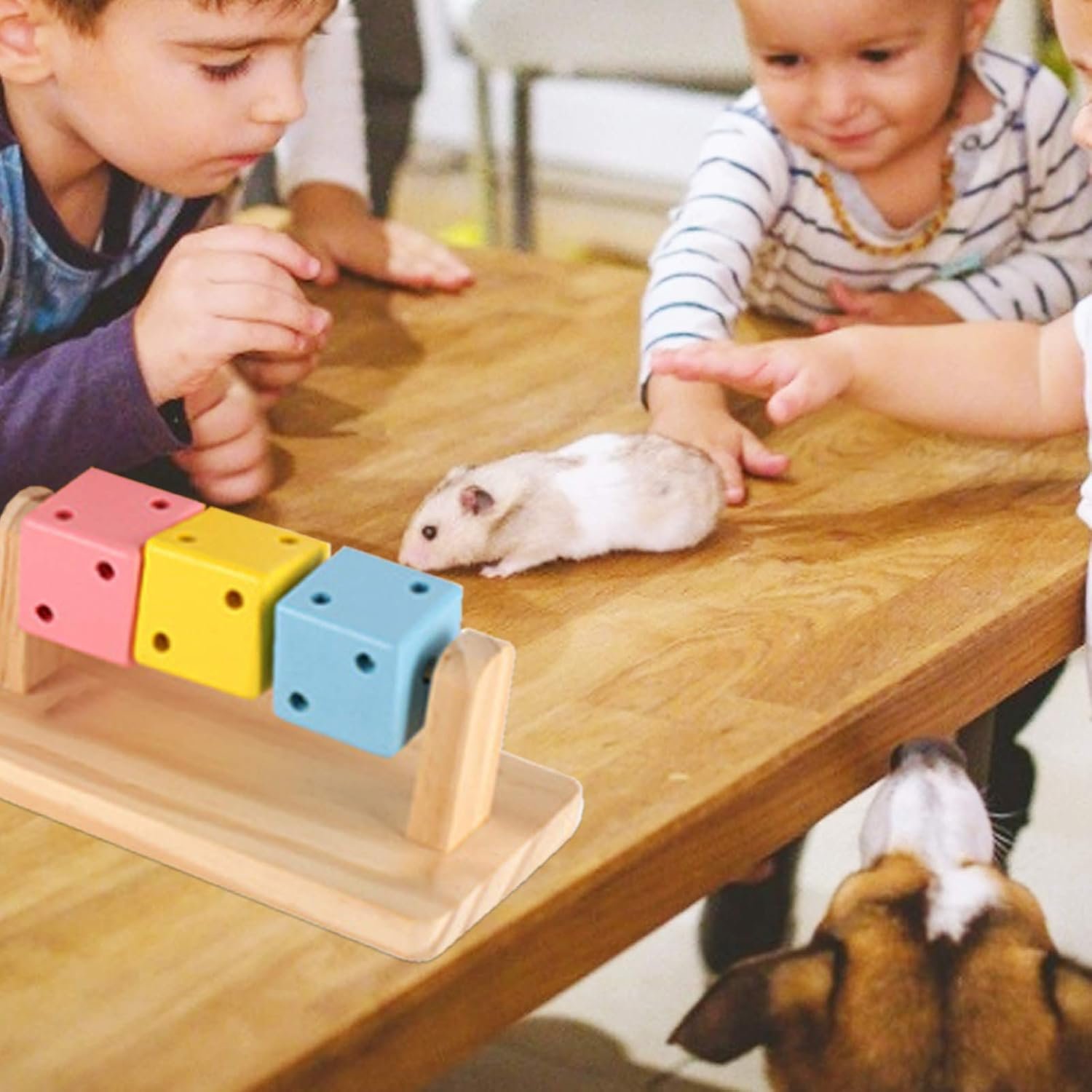 Besimple Hamster Chew Toys, Hamster Enrichment, Guinea Pig Toys and Accessories for Cage, Wood Hamster Platform Chew Toys for Teeth, Dwarf Hamster Chews, Colorful Wooden Block for Small Pets - Image 6