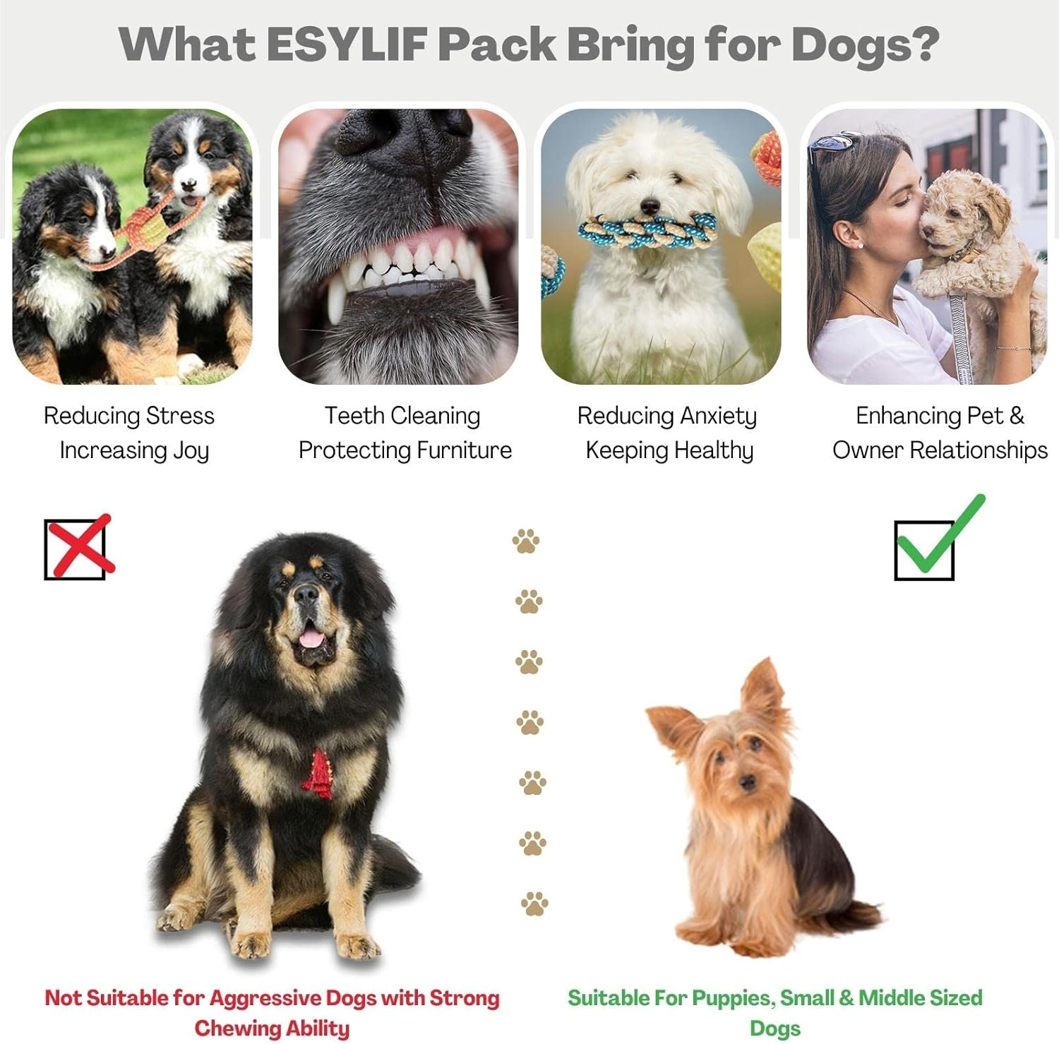 ESYLIF Dog Chew Toys for Teething,Boredom,Toothbrush,20 Pack Puppy Toys with Rope Toys, Treat Balls and Squeaky Toys for Small/Medium Breeds - Image 4