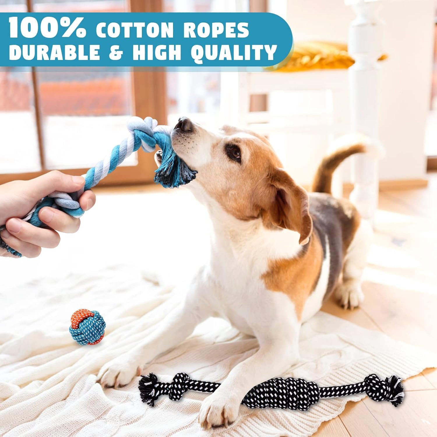 Dog Toys Small Dog Chew Toys Dog Teething Toys Squeaky Toys Chihuahua Pomeranian Corgi and PoodlesToys 6 PCS - Image 4