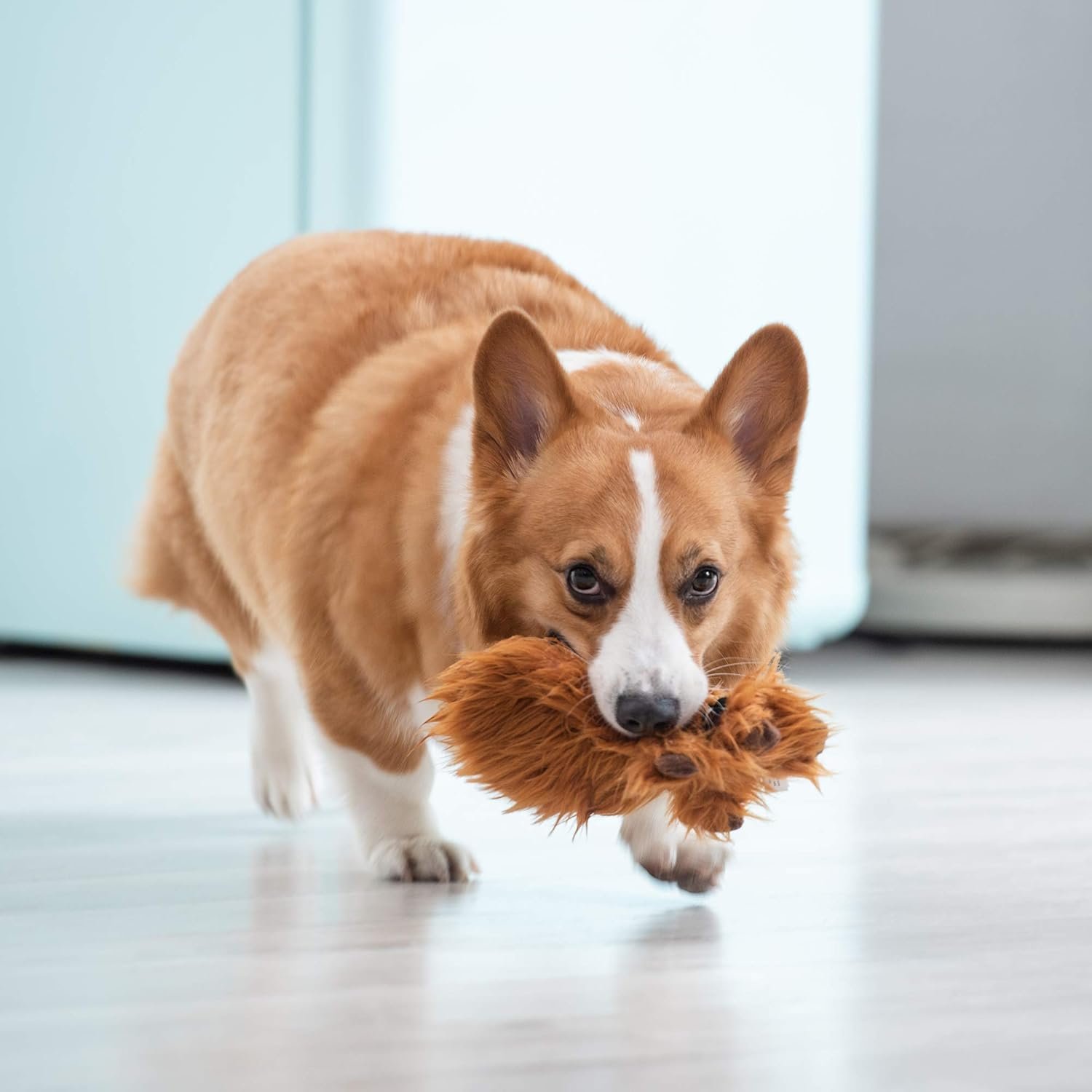 Star Wars for Pets Plush Chewbacca Flattie Dog Toy | Soft Star Wars Toys for Dogs, Brown, Large - 9" | Cute Dog Toy, Squeaky Dog Chew Toy for Pets from Star Wars - Image 5