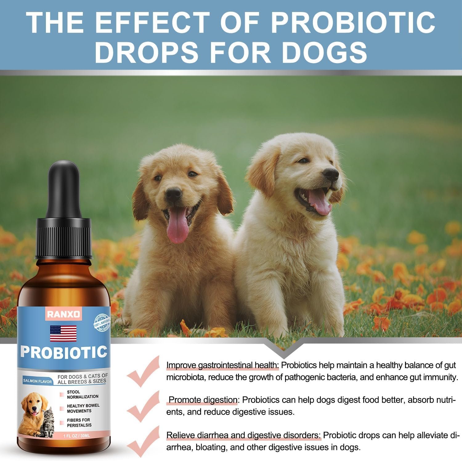 Natural Probiotics for Dogs, Probiotic Drops for Dogs with Digestive Enzymes, Probiotics for Dogs for Yeast, Itchy Skin and Itchy Ears, Supports Digestive Health, Relieves Diarrhea and Indigestion - Image 4