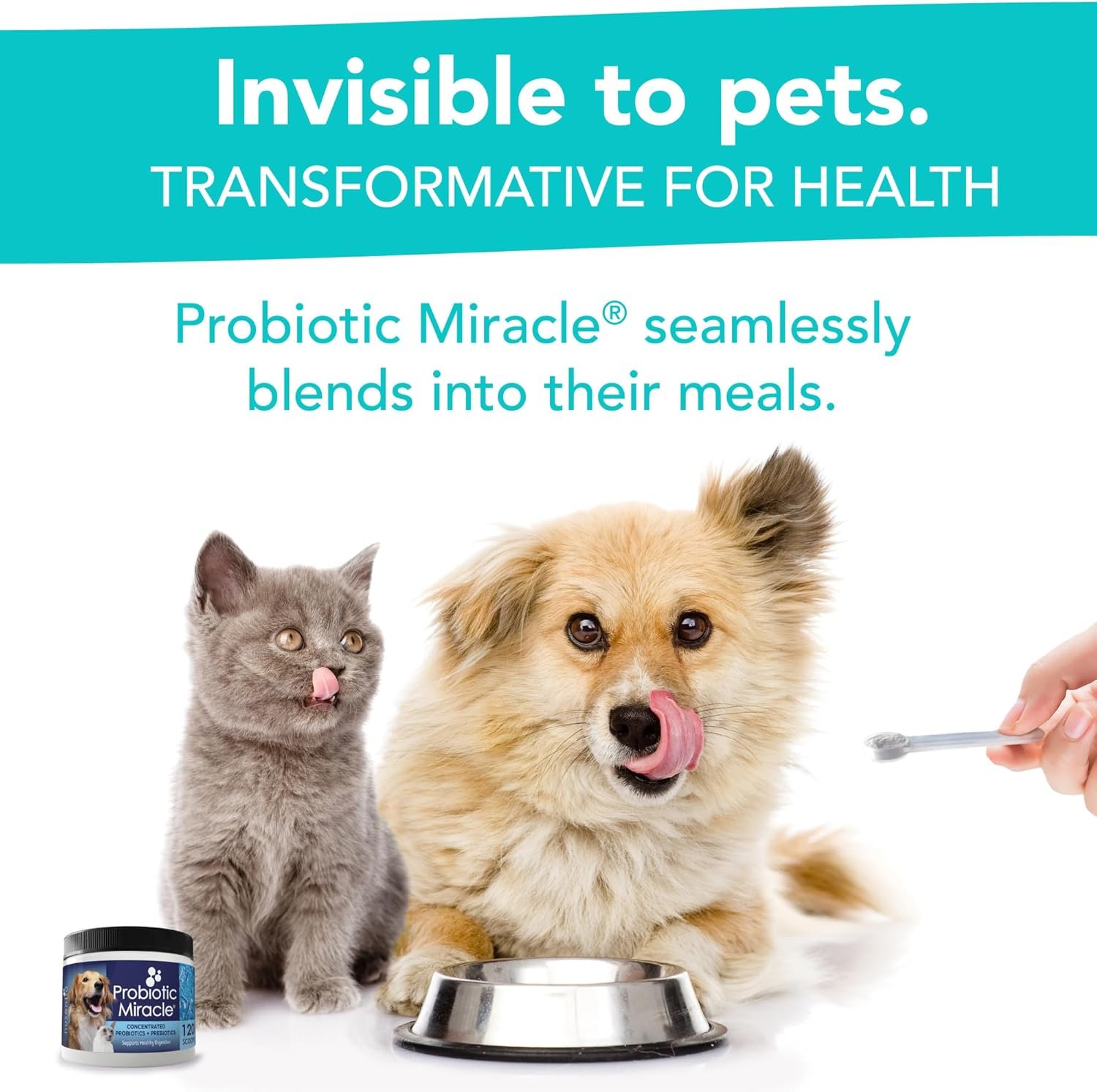 Probiotics for Cats & Dogs : Probiotic Miracle : Bowel & Gut Support : Digestive Health : Stop Diarrhea, Loose Stool - Image 5