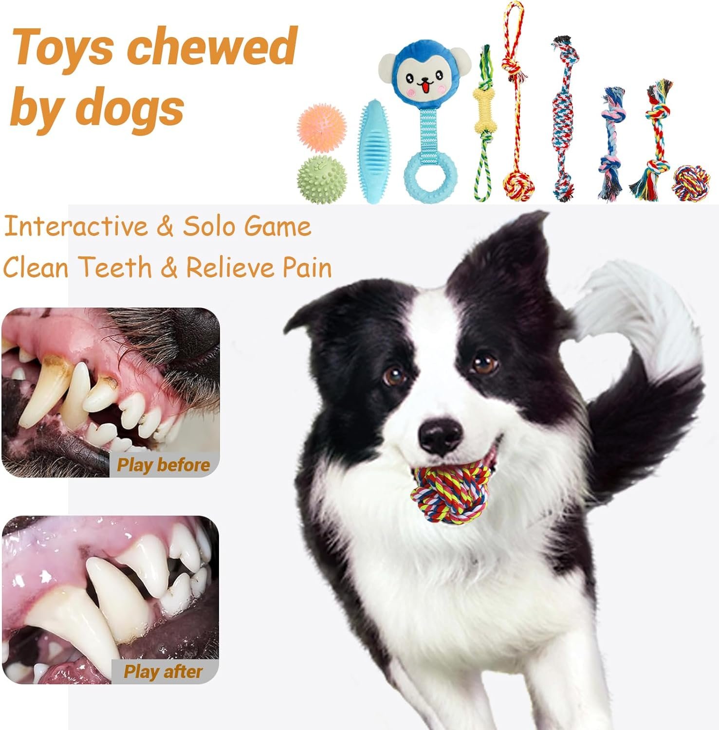 20PCS Puppy Teething Toys, Dog Squeaky Toys, Rope Toys, Interactive Dog Toys to Keep Them Busy, Chew Toys for Puppies, Pet Toys for Small Dogs, Dog Toy Basket Full of Fun - Image 5