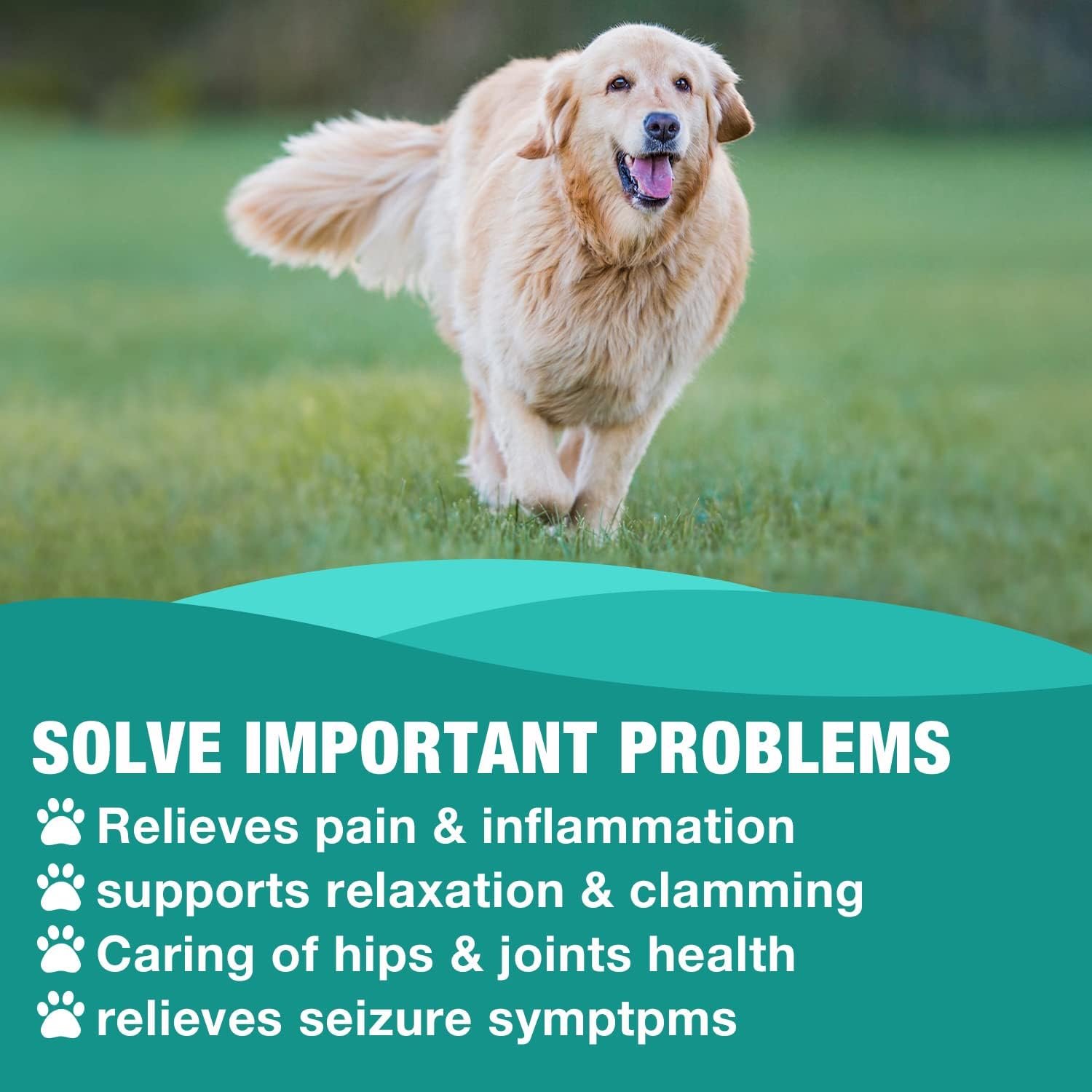 RiRywony Hemp Oil for Dogs Cats - Pure Hemp Drops for Pets Arthritis Pain Anxiety Relief Stress - Dog Herbal Supplements -Hip Joint Support Calming - Skin Health - Omega Fatty Acids - Made in USA - Image 3