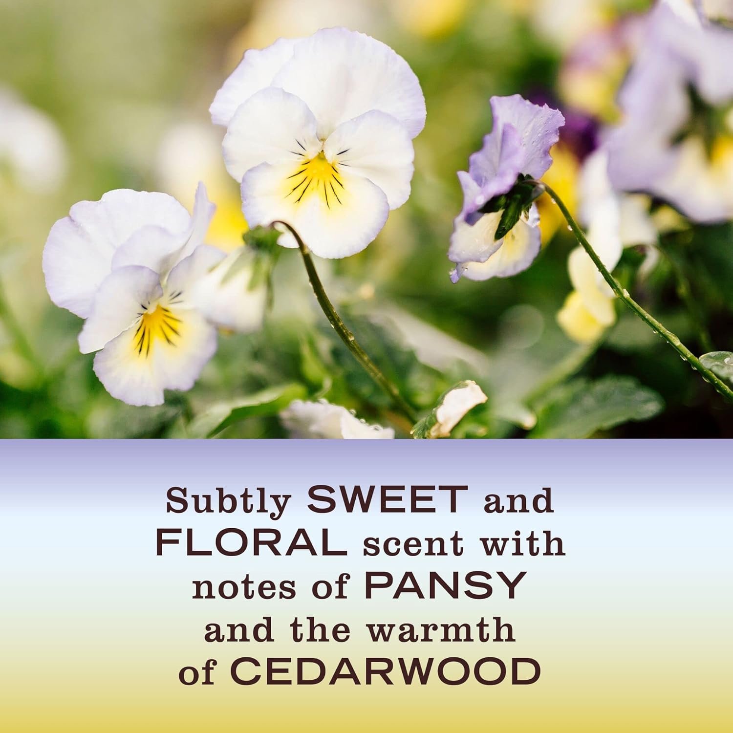 MRS. MEYER'S CLEAN DAY All-Purpose Cleaner Spray, Compassion Flower, 16 fl. oz (Pack of 3) - Image 6