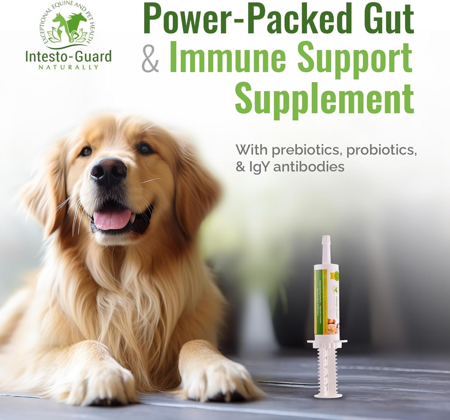 Intesto Guard Probiotics Paste 60ML/60cc Tube for Dogs & Cats Helps with Dog Diarrhea, Immune Supplements, with IgY antibodies & Made in USA - Image 3