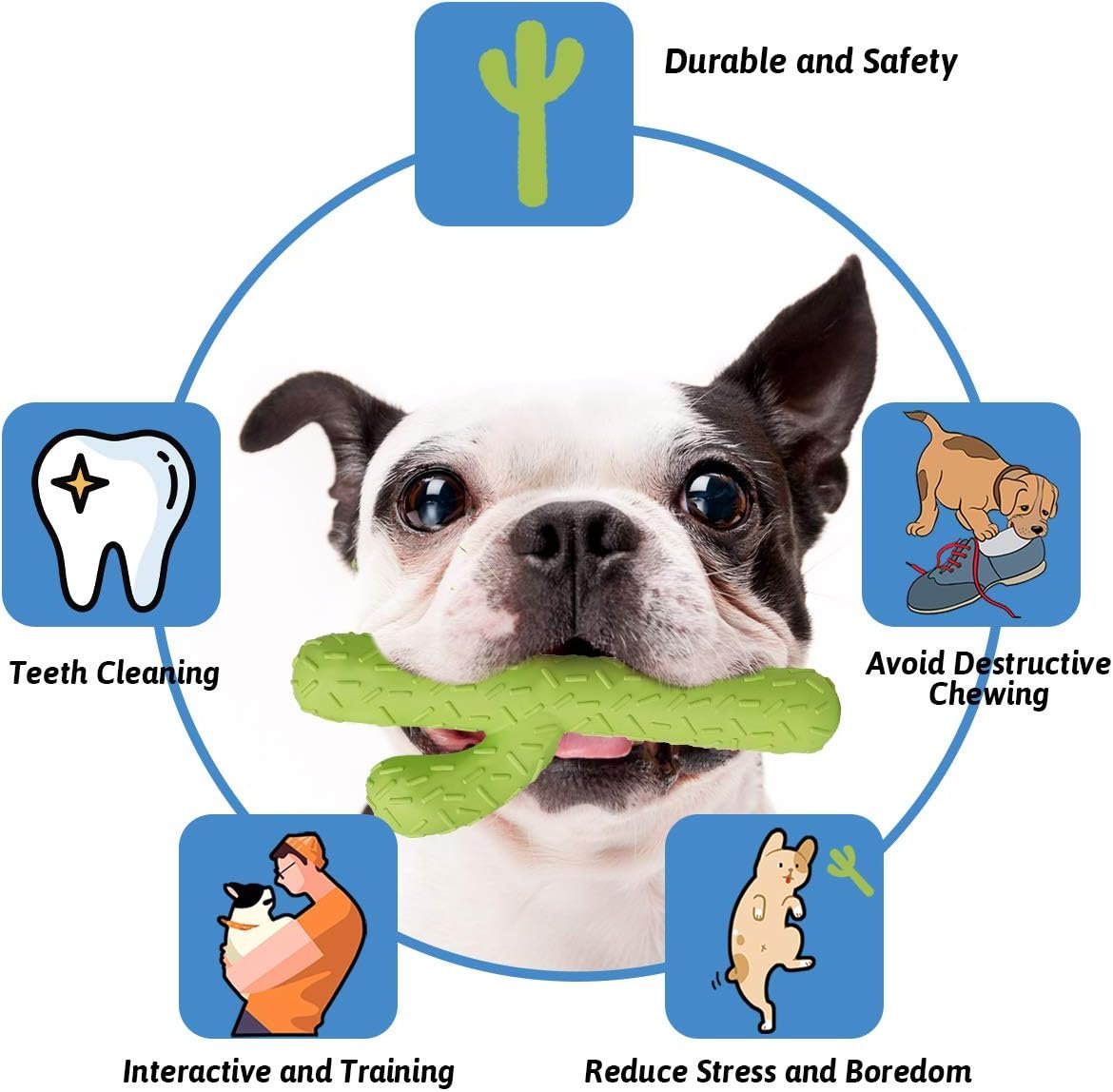 MewaJump Dog Chew Toys, Tough Rubber Dog Toys for Aggressive Chewers, Cactus Dog Toys for Training and Cleaning Teeth, Interactive Dog Toys for Medium/Large Dog - Image 3