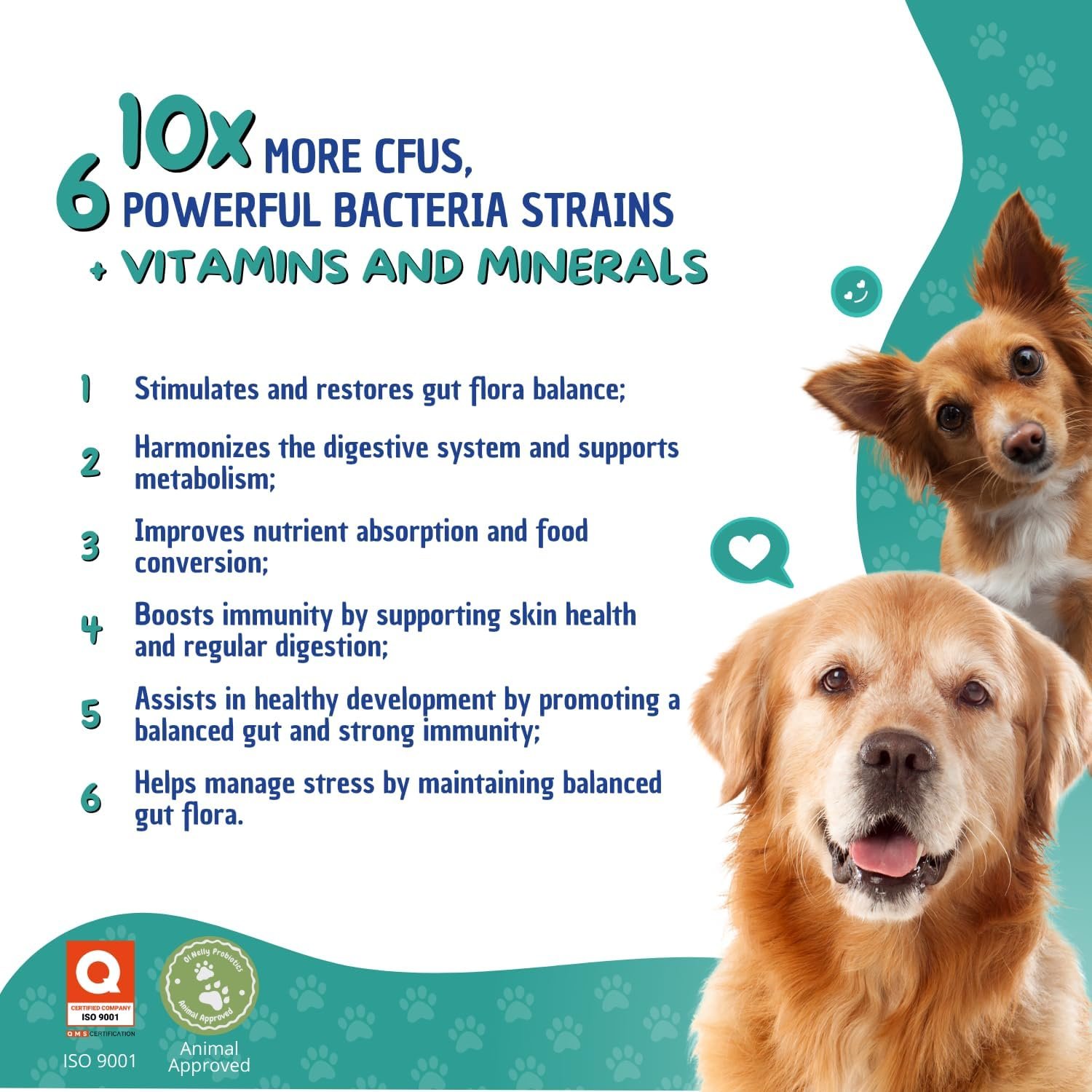 Prebiotic & Probiotic Dog Probiotic Paste, 6 Strains of Bacteria,18 Bi CFU's + Vitamins, Minerals- Upgraded Formula for Fast Balance GI, Dogs & Cats Probiotic Paste (14 g) - Image 4