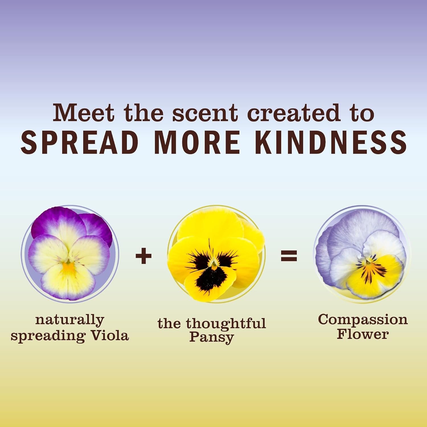 MRS. MEYER'S CLEAN DAY All-Purpose Cleaner Spray, Compassion Flower, 16 fl. oz (Pack of 3) - Image 5