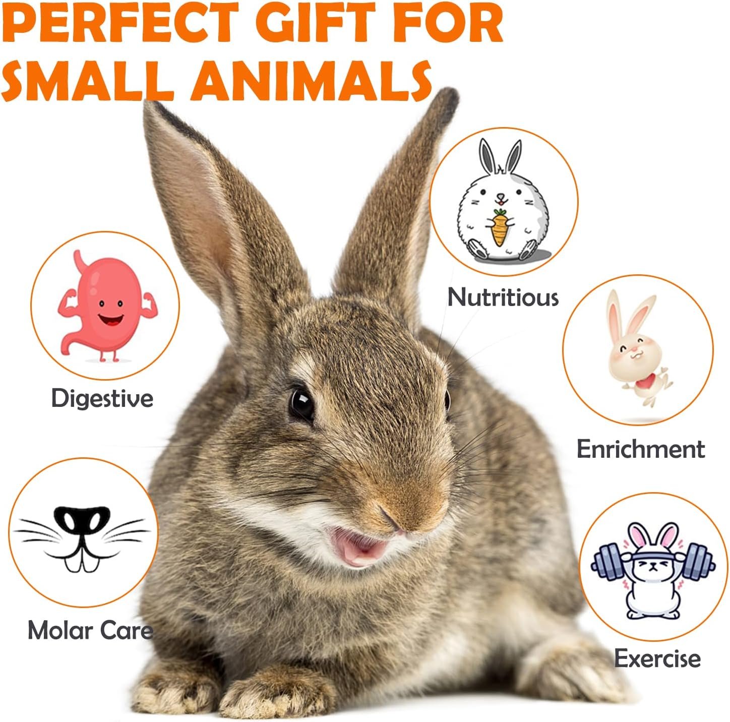 Sofier Rabbit Toys Bunny Toys Hamster Toys Guinea Pig Toys Natural Seagrass Hanging Basket with Timothy Hay Treats Handmade Chew Toys for Teeth Enrichment Chinchilla Rat - Image 5