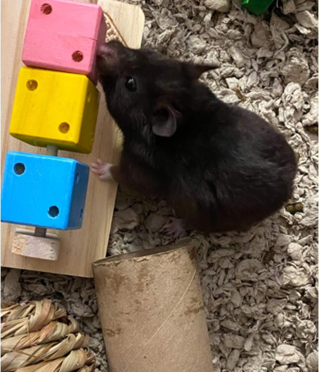 Besimple Hamster Chew Toys, Hamster Enrichment, Guinea Pig Toys and Accessories for Cage, Wood Hamster Platform Chew Toys for Teeth, Dwarf Hamster Chews, Colorful Wooden Block for Small Pets - Image 5