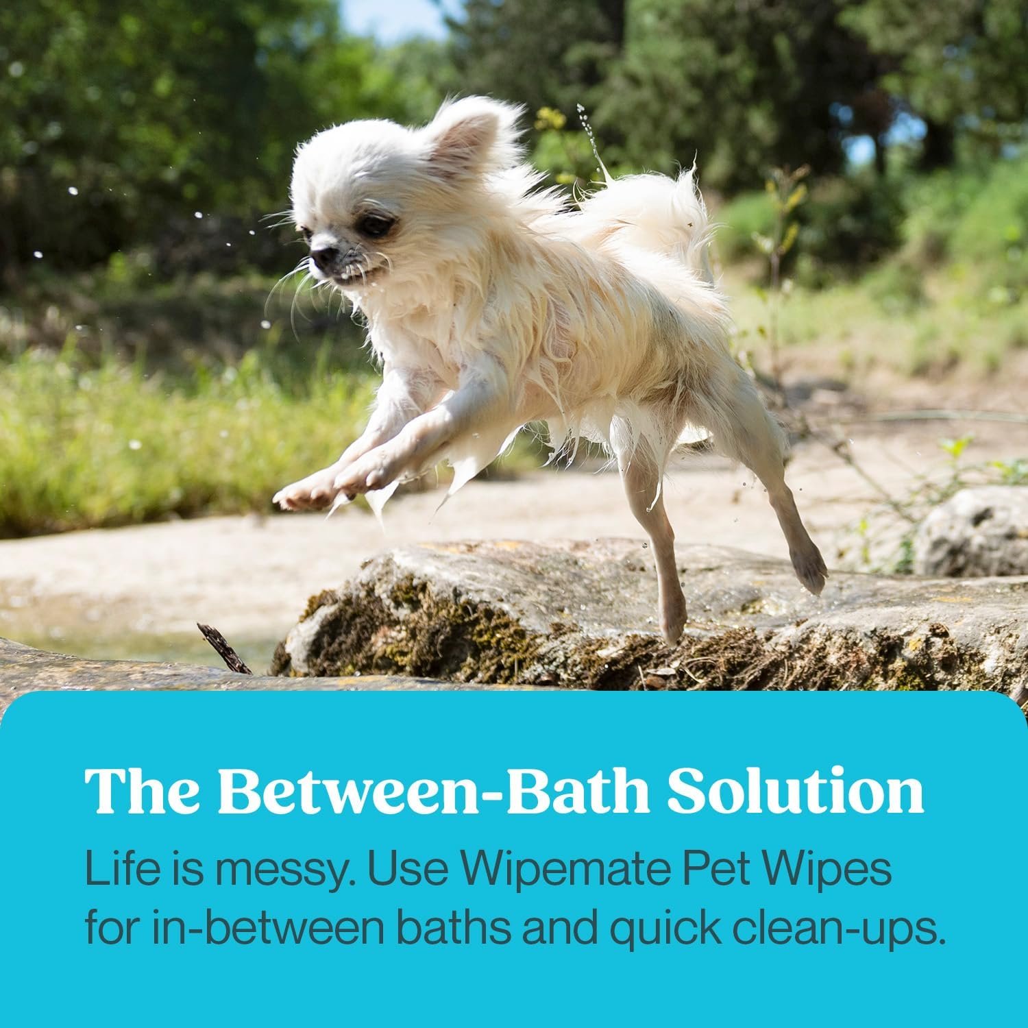 Premium Dog & Cat Pet Wipes, Cleans Pet Paws, Ears, Fur, Butt, & Anal Gland, No-Rinse Solution, Gentle, Deodorizing, Hypoallergenic - Unscented 100 ct - Image 3